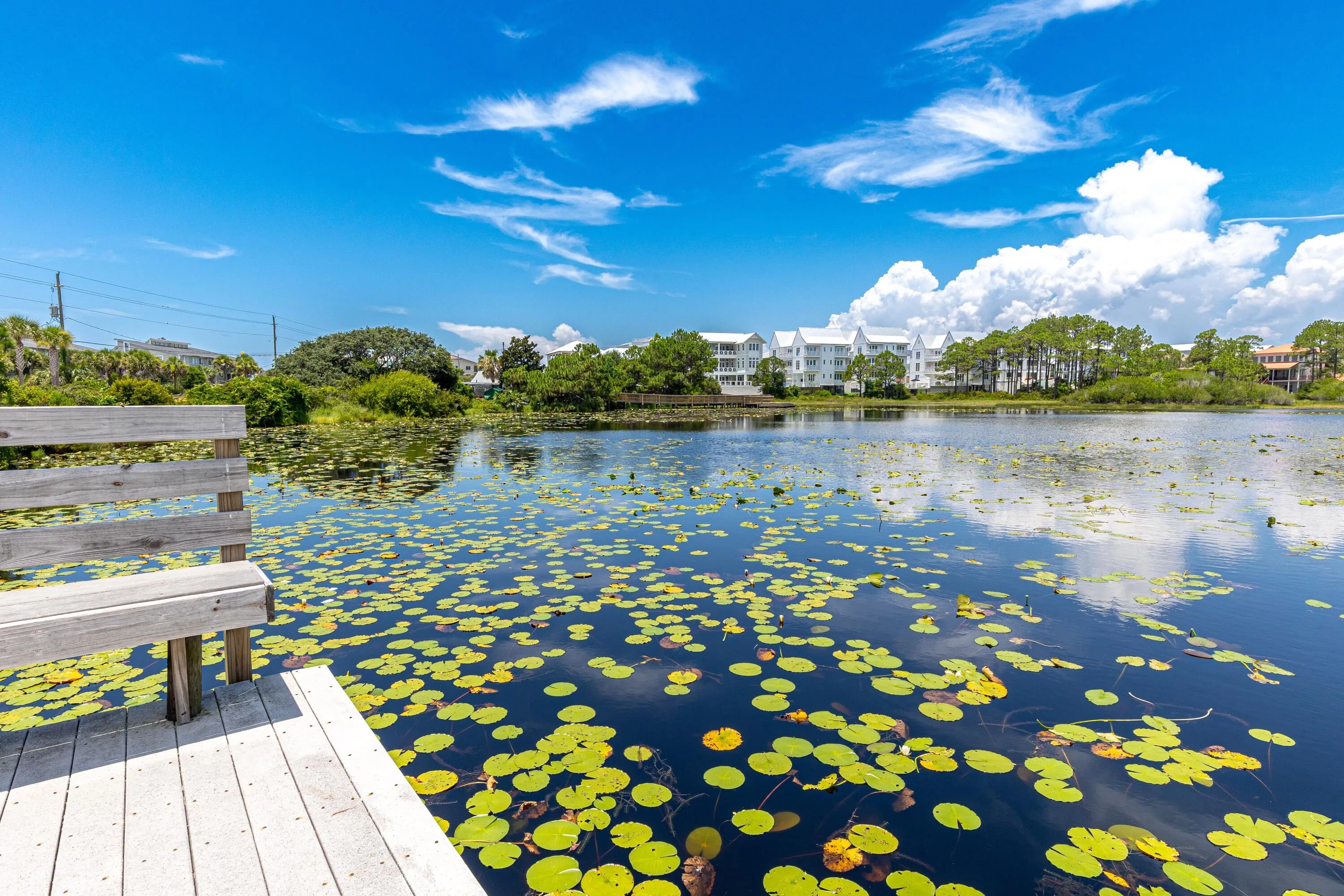 Santa Rosa Beach, Florida 32459, United States, 3 Bedrooms Bedrooms, ,4 BathroomsBathrooms,Residential,Active,169523