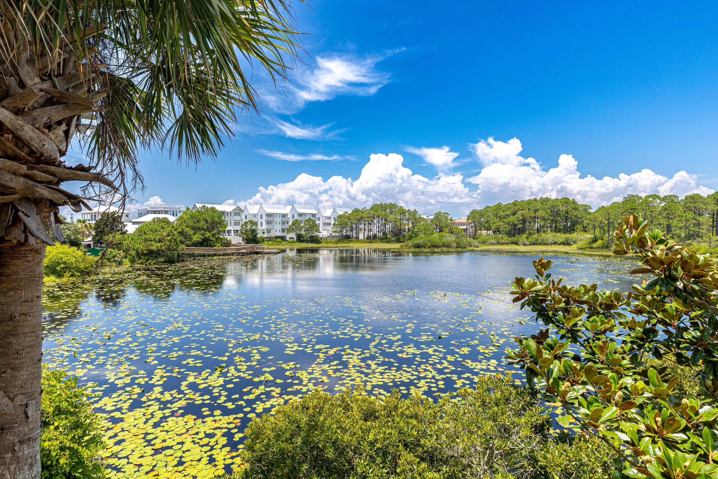 Santa Rosa Beach, Florida 32459, United States, 3 Bedrooms Bedrooms, ,4 BathroomsBathrooms,Residential,Active,169523