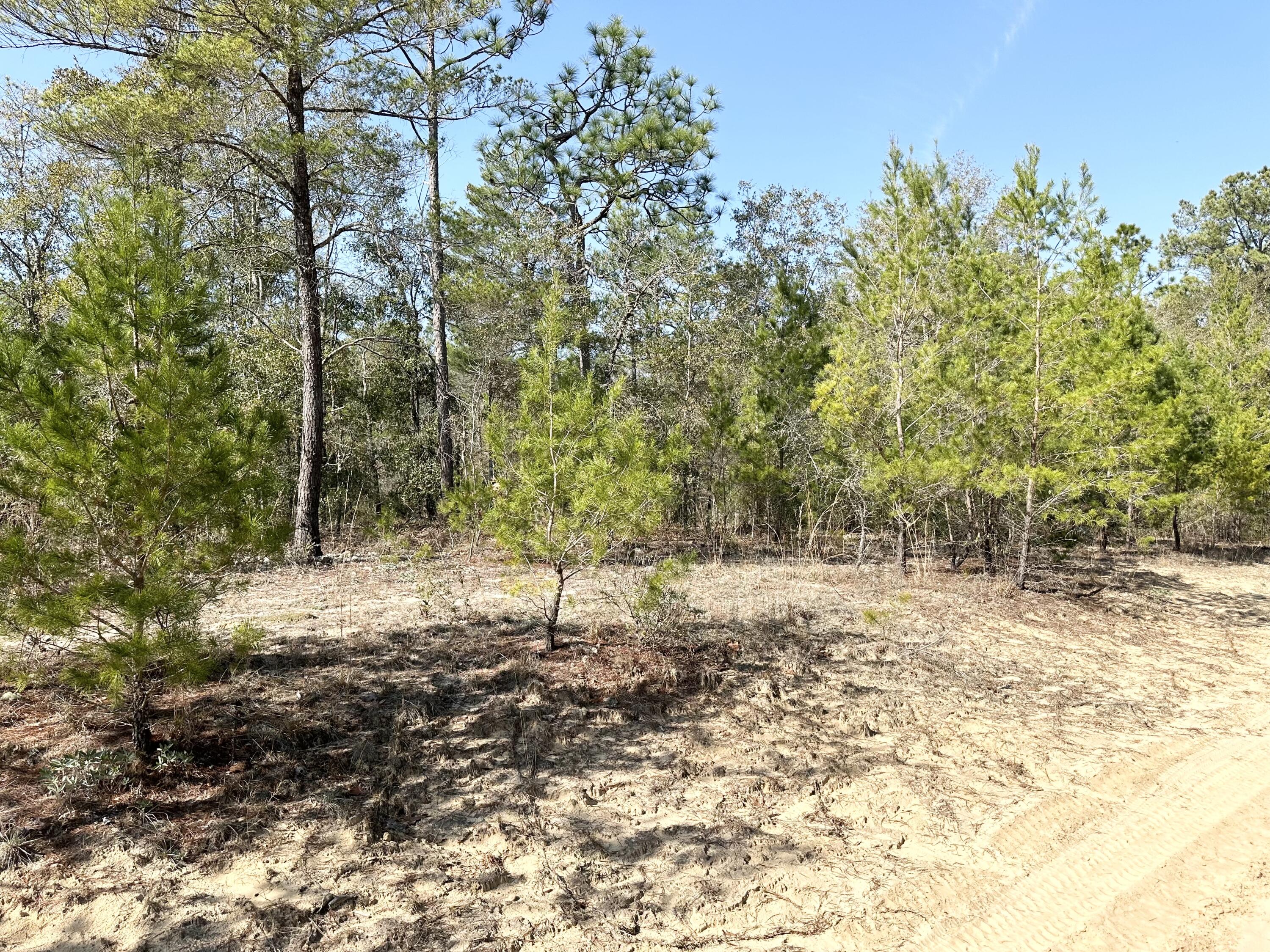 OAKWOOD HILLS UNIT 1 - Land