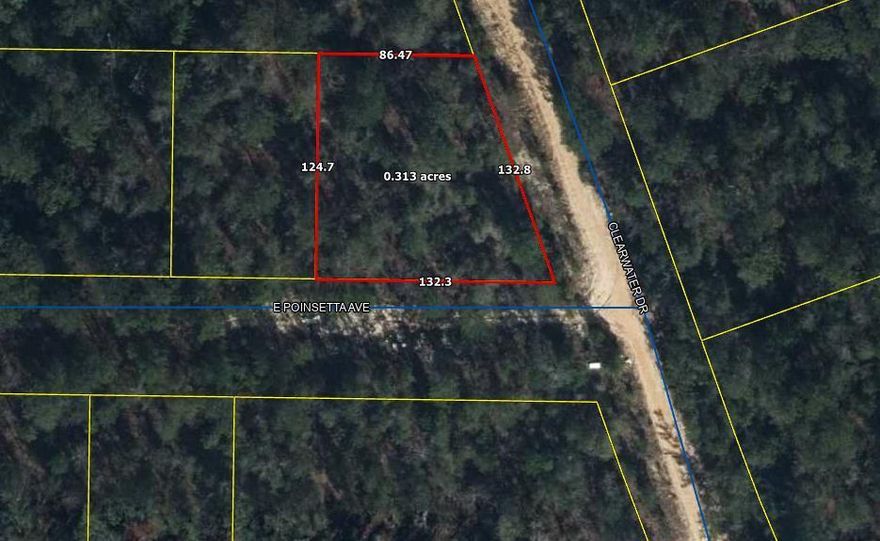 If you're looking for privacy at a competitive price point, look no further. Just over a 1/4 acre lot. Zoned rural low density & no flood zone or wetlands. Public water is available & property is located one block from the power line. Tap fee has not been paid & will need to be paid through Mossy Head Water Works. Private septic will be needed. Give us a call to make this your new homesite!