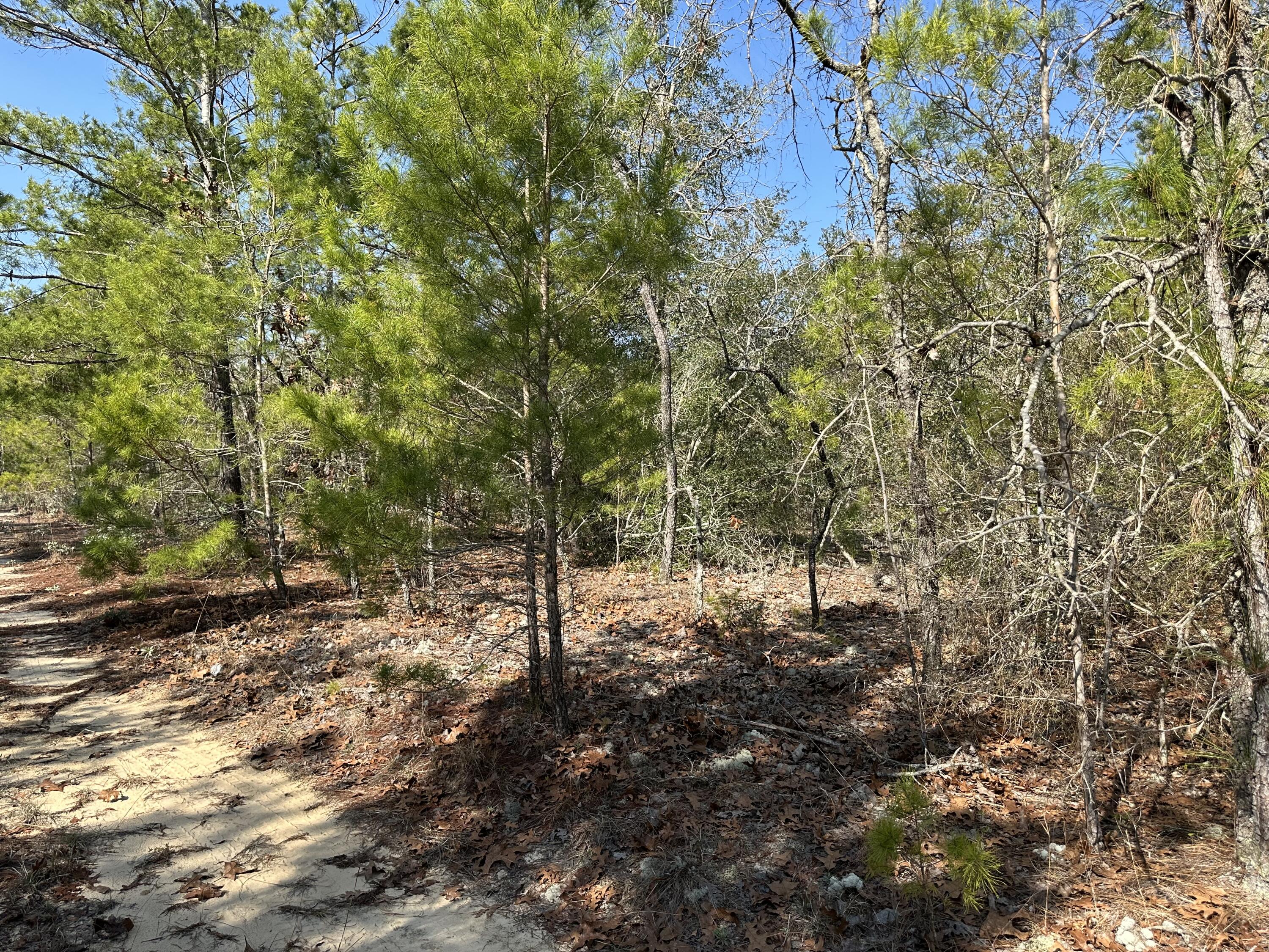 OAKWOOD HILLS UNIT 1 - Land