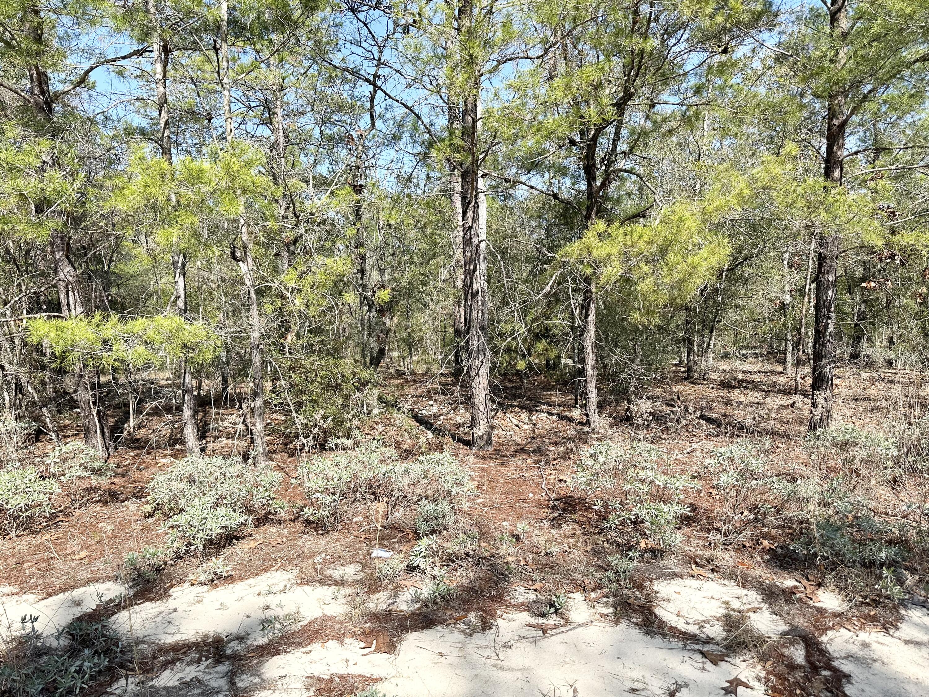 OAKWOOD HILLS UNIT 1 - Land