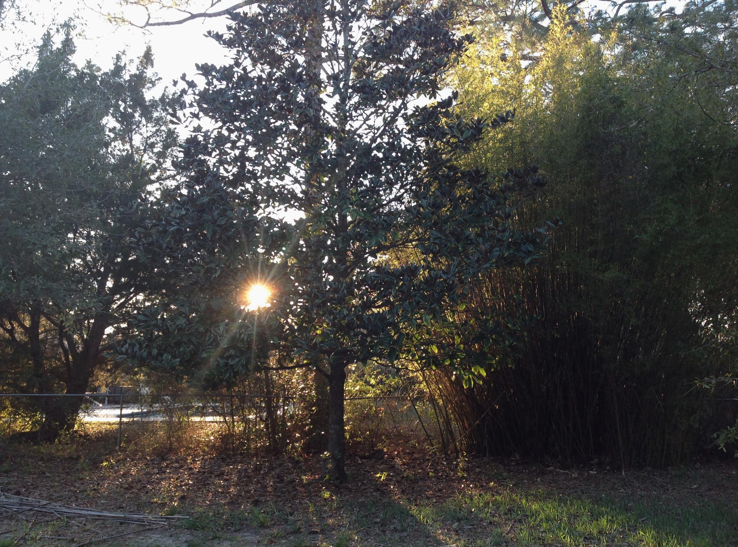 VALPARAISO PINECREST 6 - Residential