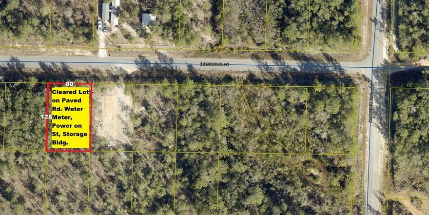 Cleared lot on paved road in growing Mossy Head area of Defuniak Springs with paid tap and water meter in place. 80 x 125 lot located minutes to downtown Defuniak Springs and I-10 in Mossy Head.  Storage building has been set up on property and could be converted to a tiny home...build to suit or have a manufactured home set up. Perk test has been completed and septic approved through Walton County Bldg. Dept. Power available along this street. Property has been surveyed. Adjoining property owner to East is installing new privacy fence along that boundary, so save money on fencing your remaining property. Rubbermaid garden shed will also be left. Someone ran over & damaged the water meter cover and seller is working on getting that repaired. Meter is intact and water available to lot.