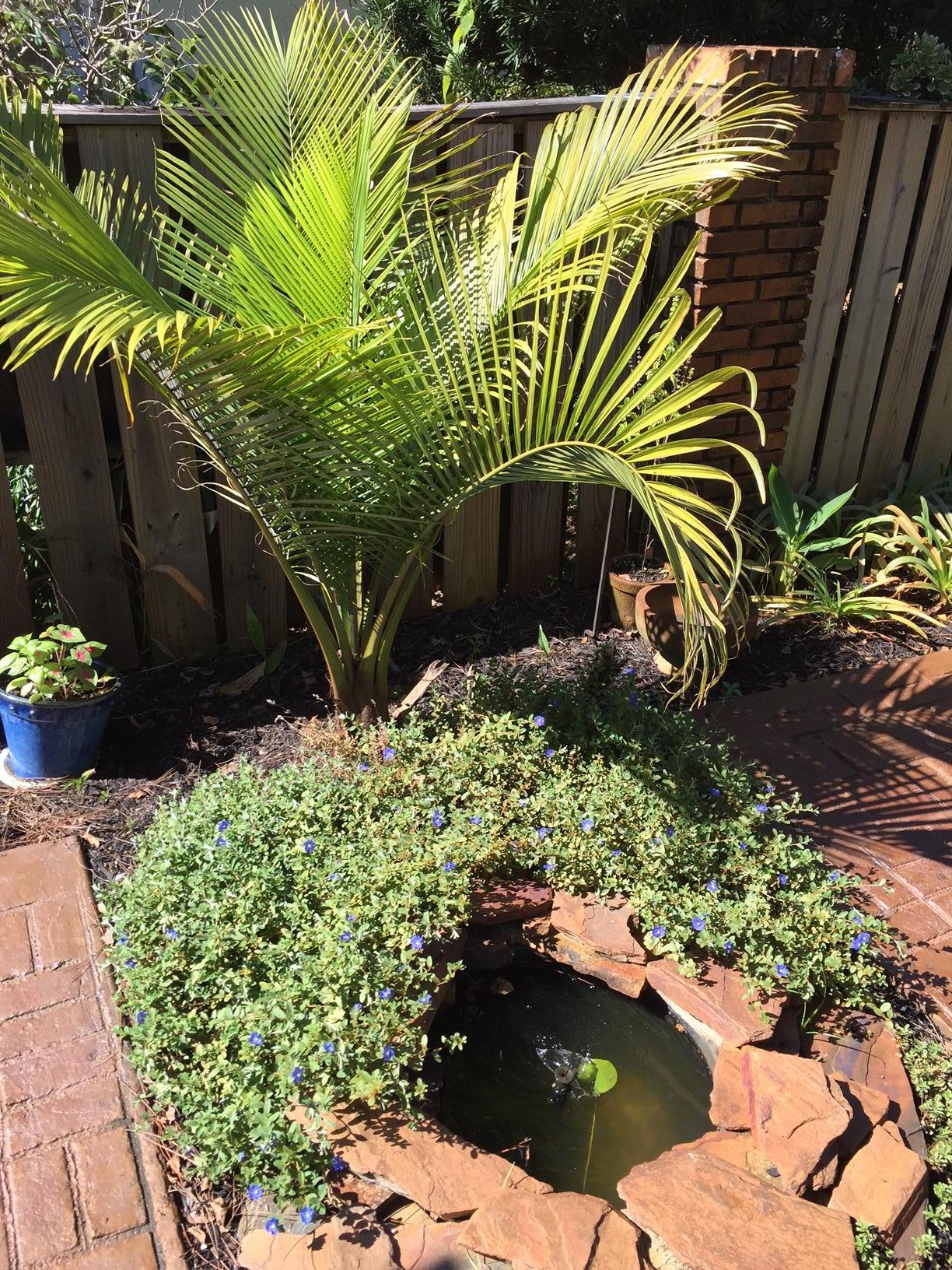 BELLA VISTA S/D - Residential