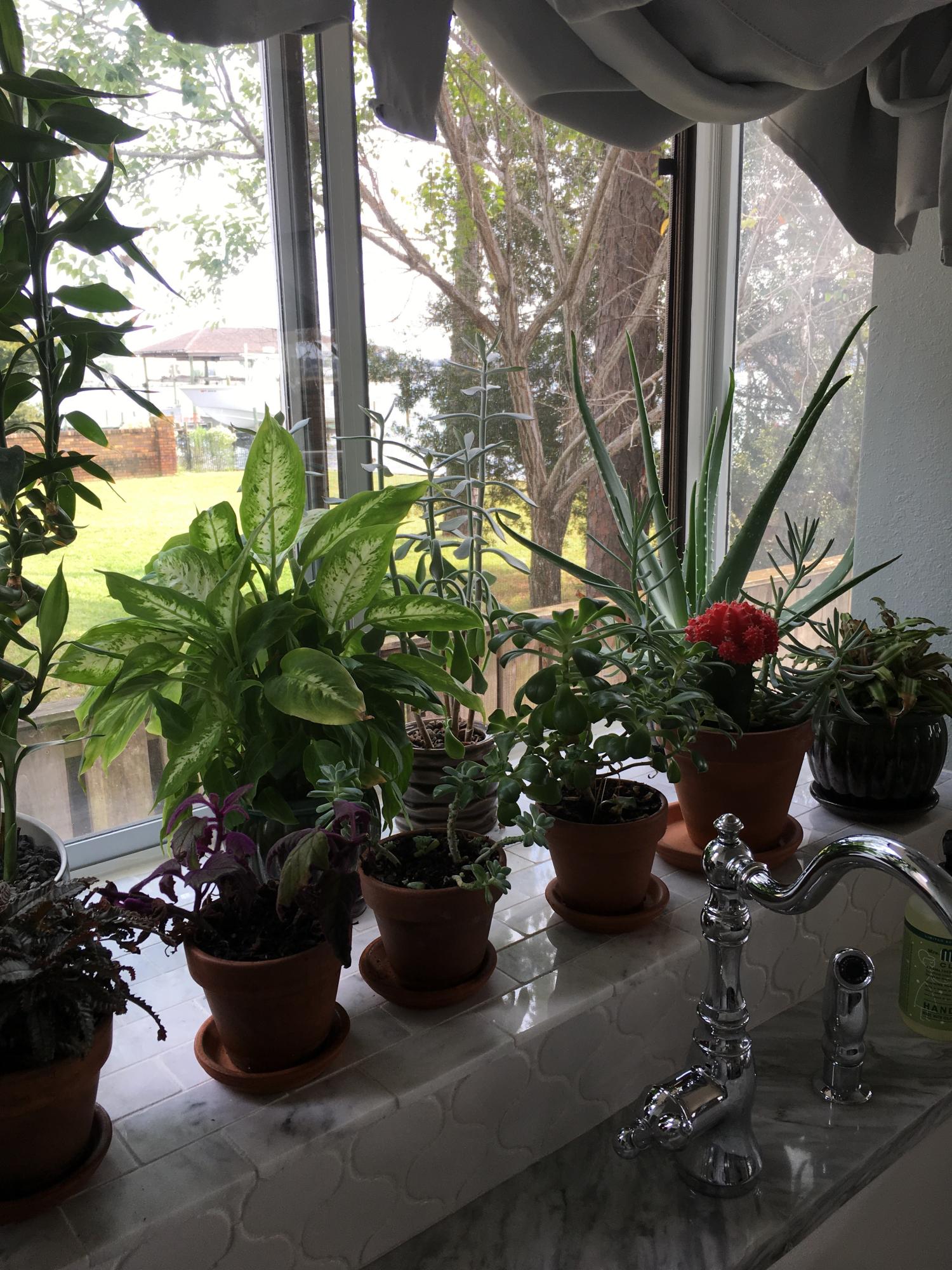 BELLA VISTA S/D - Residential