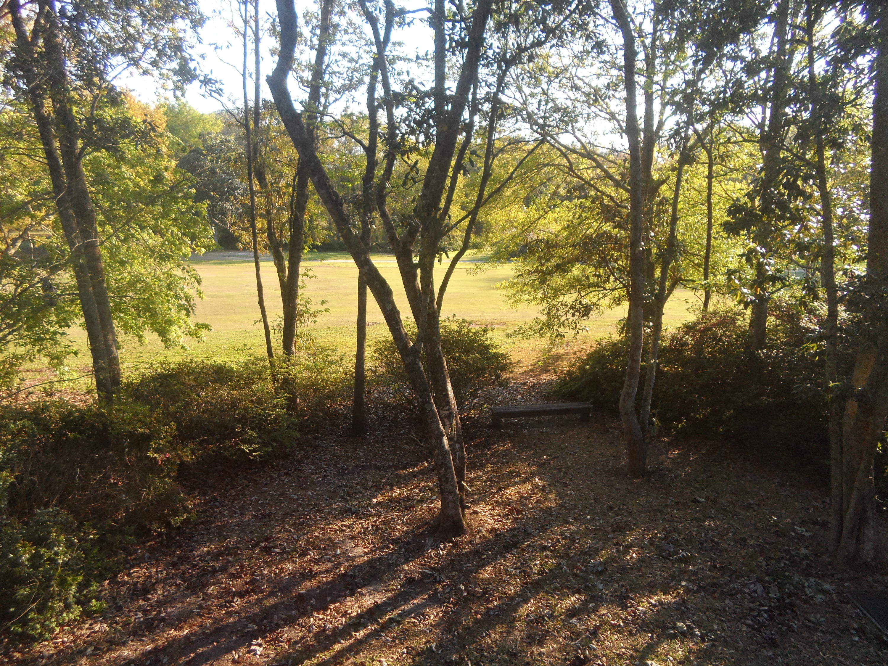 ST. ANDREWS - Residential