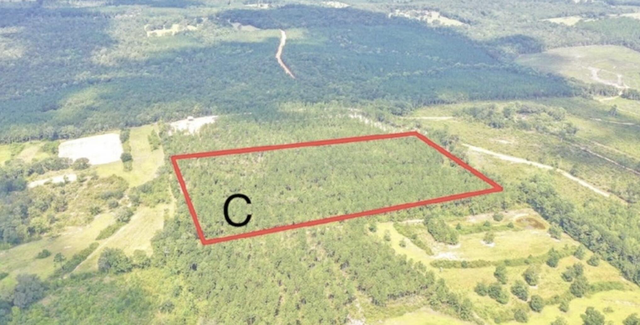 Beautiful secluded 20 acre parcel situated just minutes from 3 of Florida's natural springs, rivers, and less than an hour to the beach. The property could be a perfect property for hunting, camping, second home or to build your forever home. As an added bonus this 20 acre tract is in merchantable planted pine timber, lending additional equity to your investment. This parcel does not currently have road access, however additional land is available!