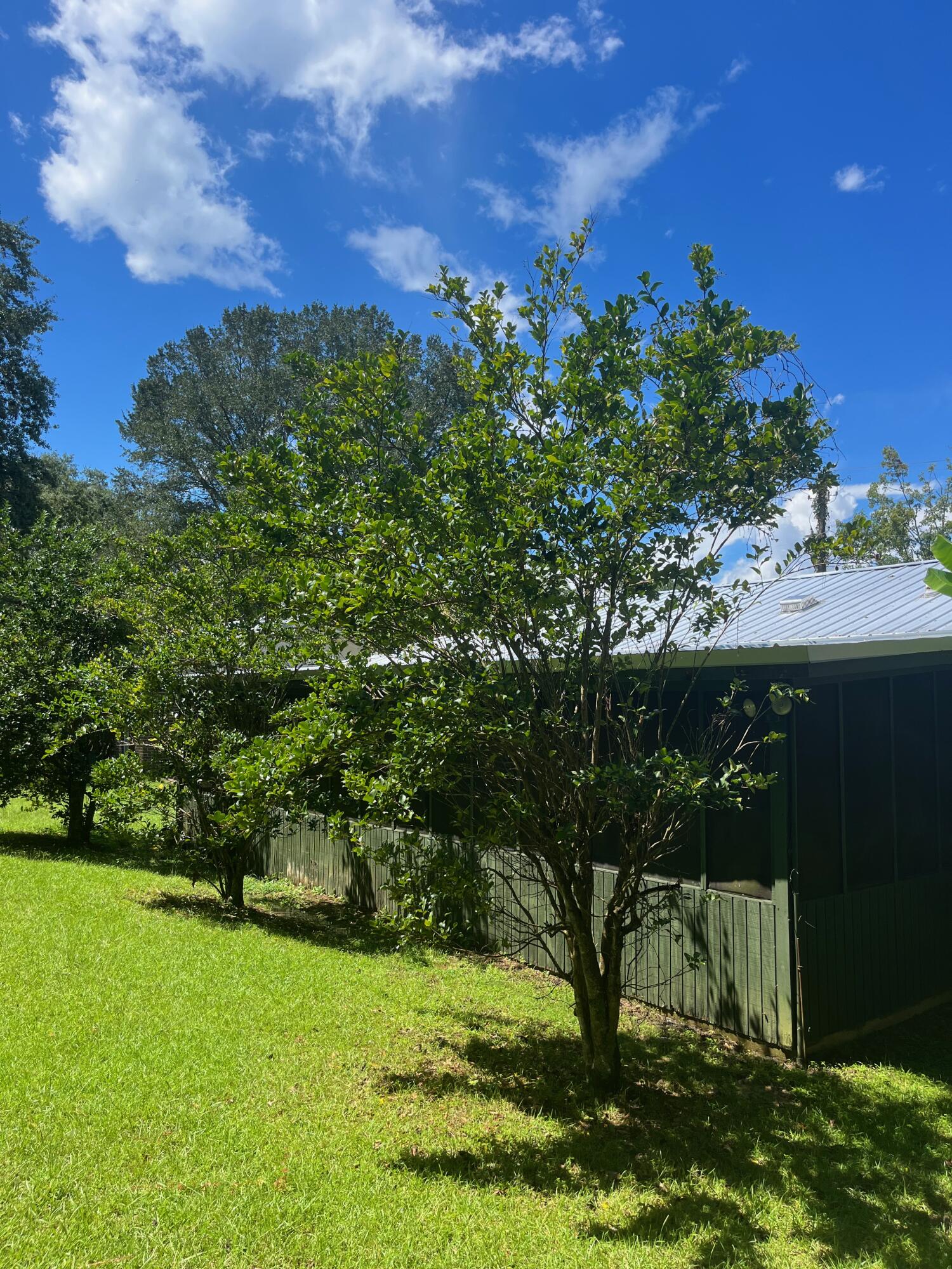 NO RECORDED SUBDIVISION - Residential