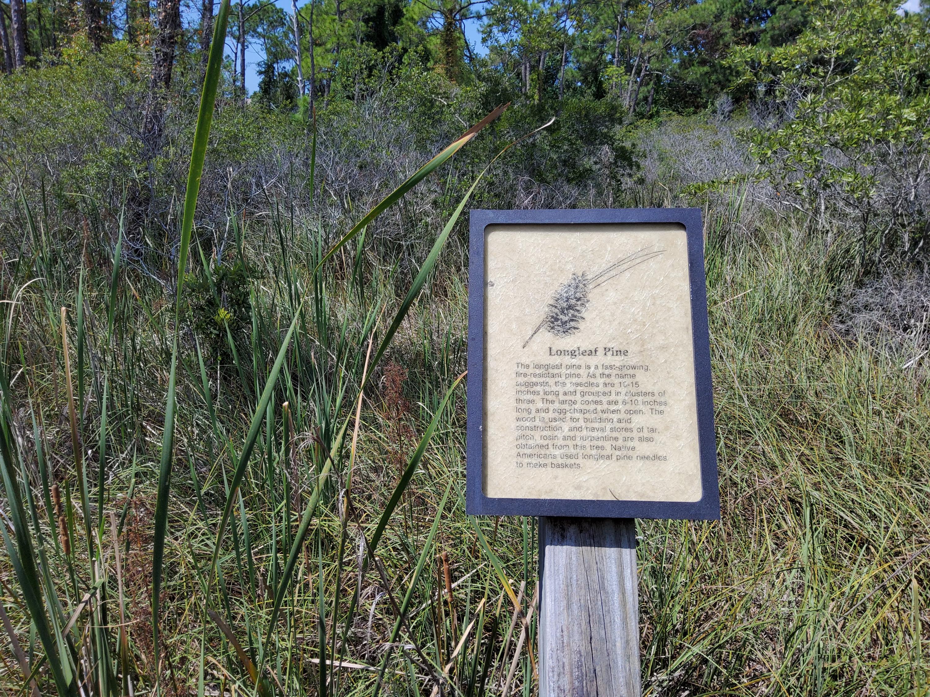 RESUB OF KELLYS ADD TO DESTIN - Residential