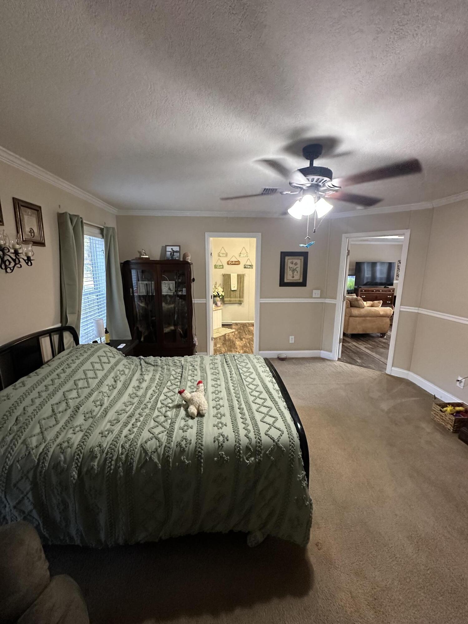 NO RECORDED SUBDIVISION - Residential