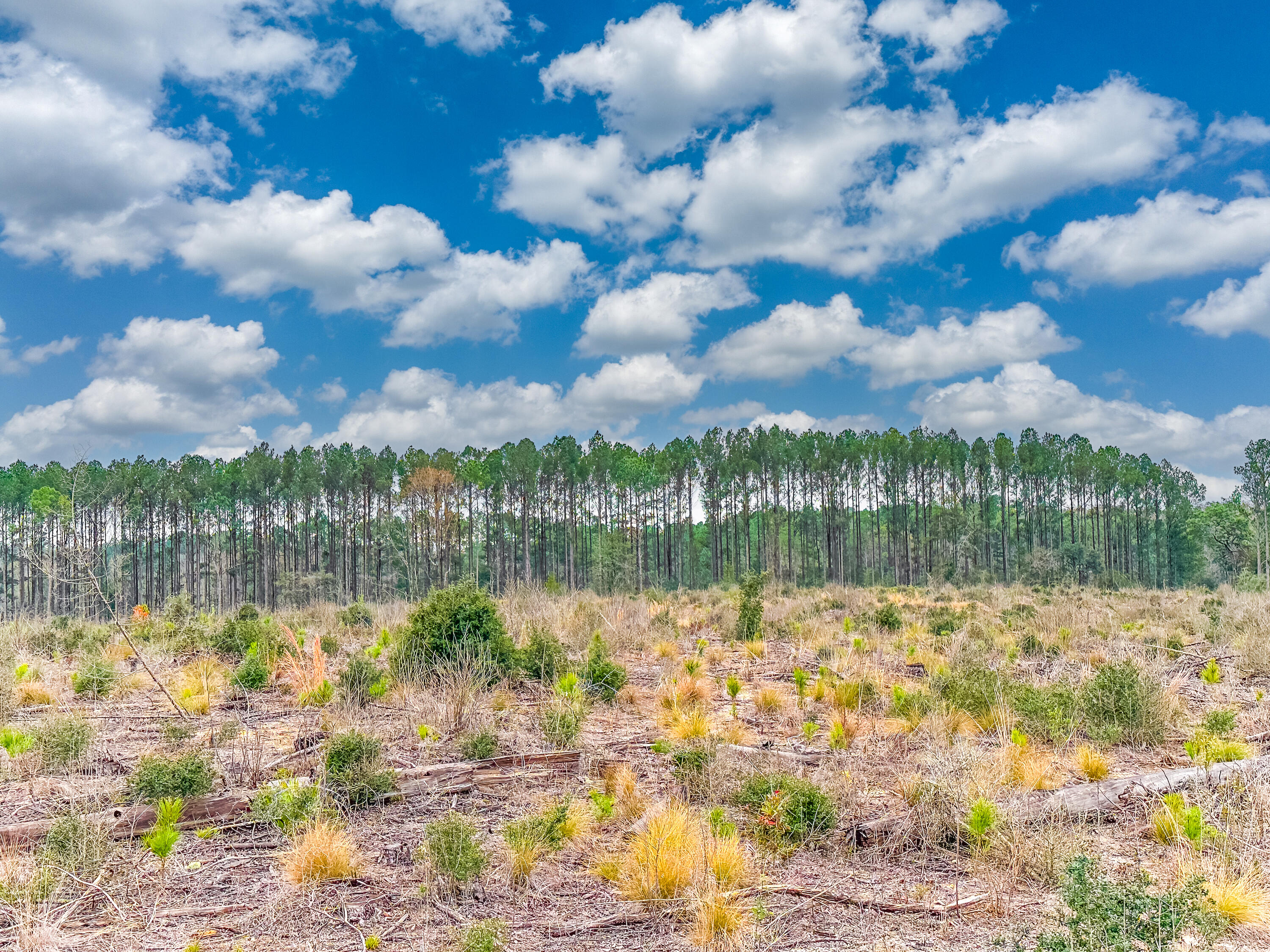 METES & BOUNDS - Farm