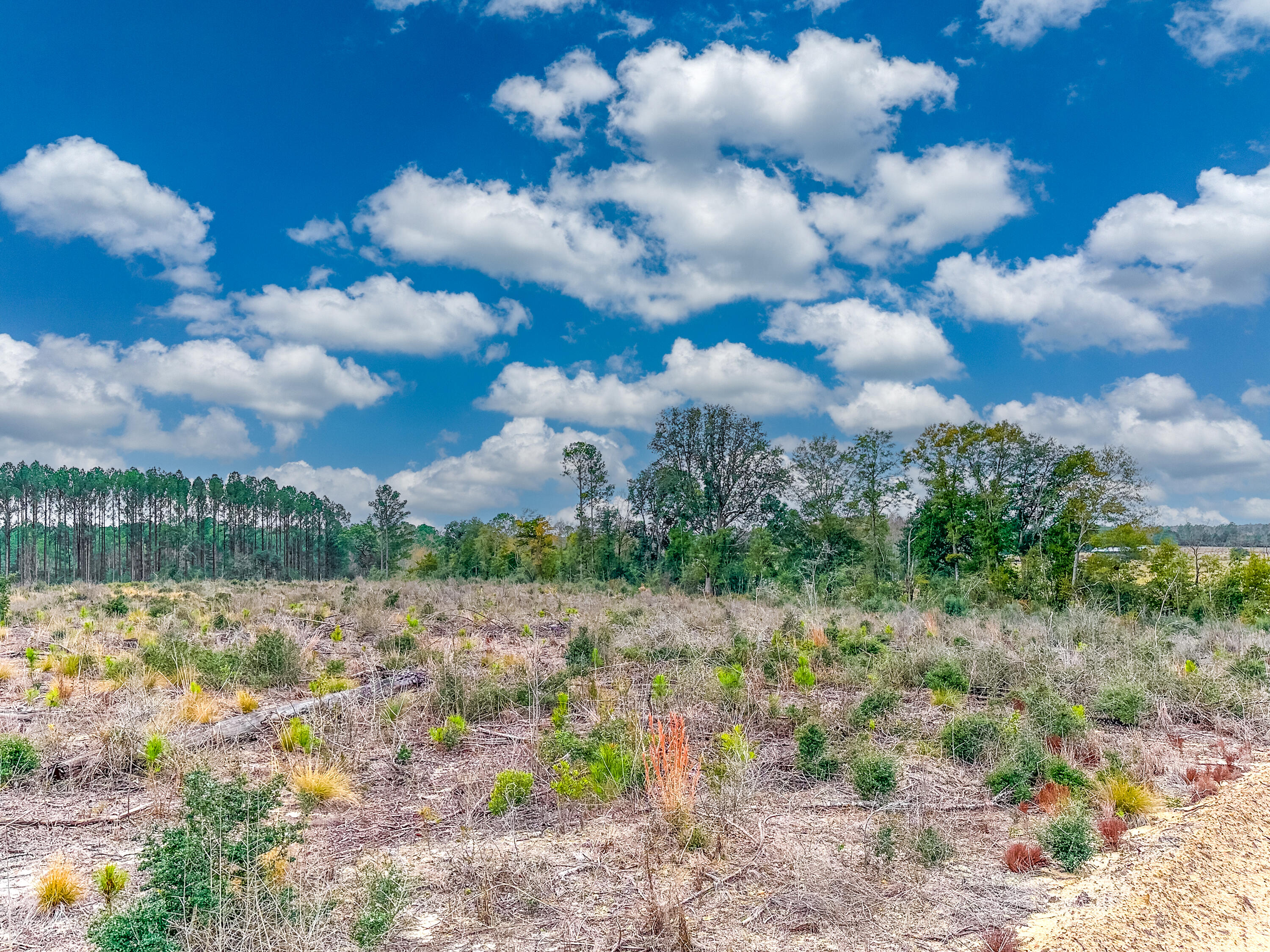 METES & BOUNDS - Farm