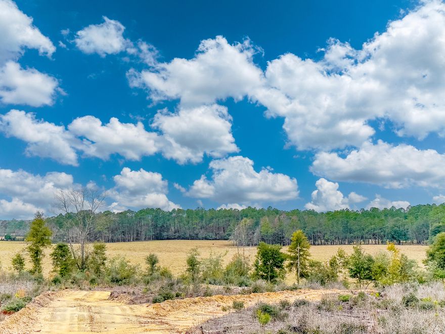 ***Hunting Season - Caution Possible Hunting Lease, DO NOT ENTER PROPERTY Unless you schedule a showing appointment 24 hours or more in advance*** Dream Location for Country Living or Hunters Paradise either way you won't want to miss this opportunity! This Beautiful 97.47+/- Acres of prime land has so much to offer,Planted Pine- Recently Replanted. High Bluff Dirt Road Power available. Bring your build plans, hunting gear, Horses and ATVS LOCATION LOCATION!!!! This Property has Easy Access to Panama City Beaches I-10, Hwy 79, Hwy 81, and Hwy 90.