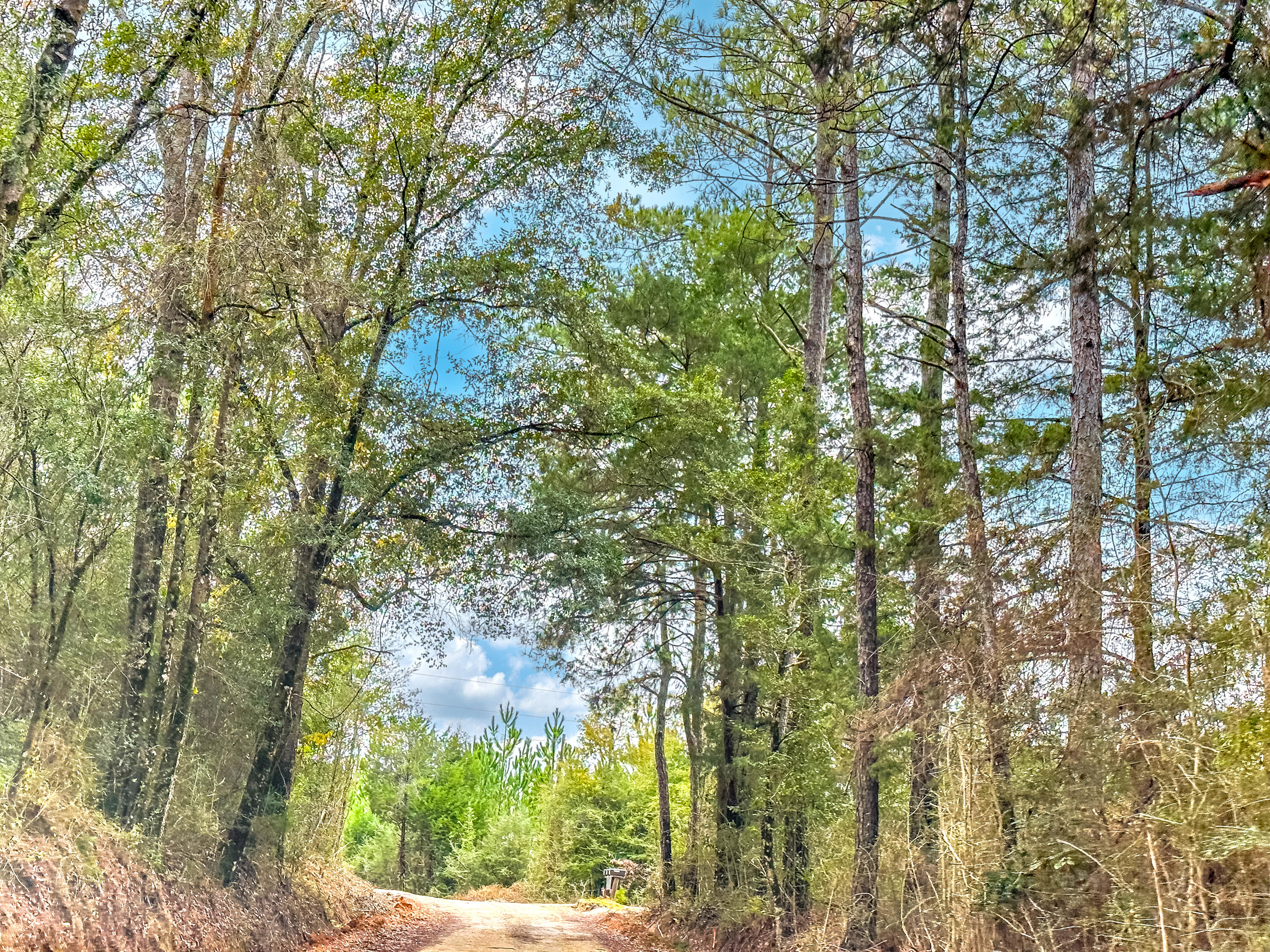 Tract#6418 Bryant Bay Road Mattox Springs NW 97