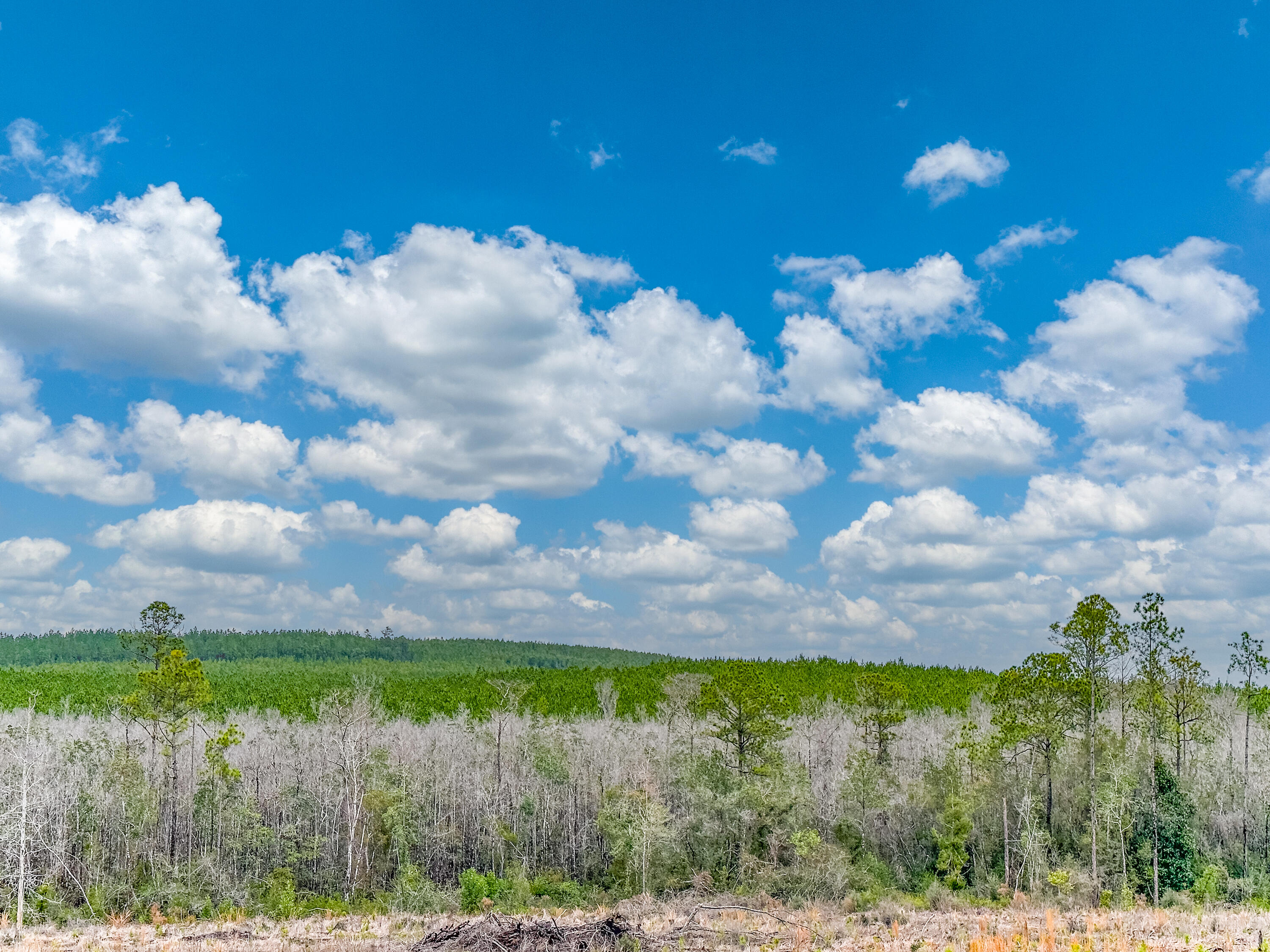 METES & BOUNDS - Farm