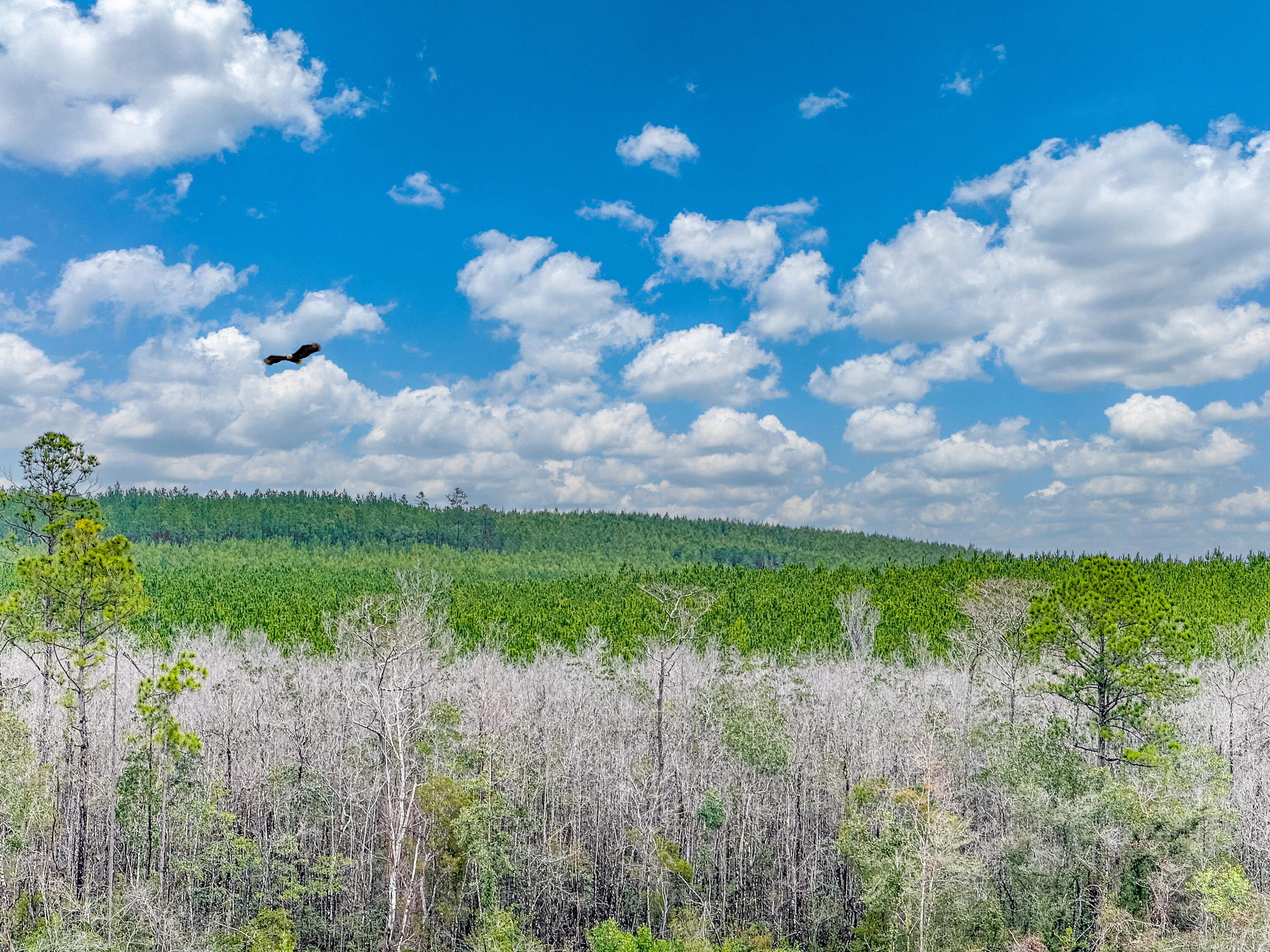 METES & BOUNDS - Farm