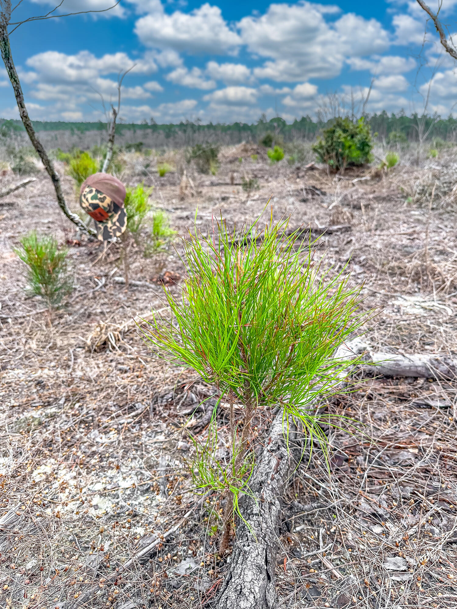 METES & BOUNDS - Farm