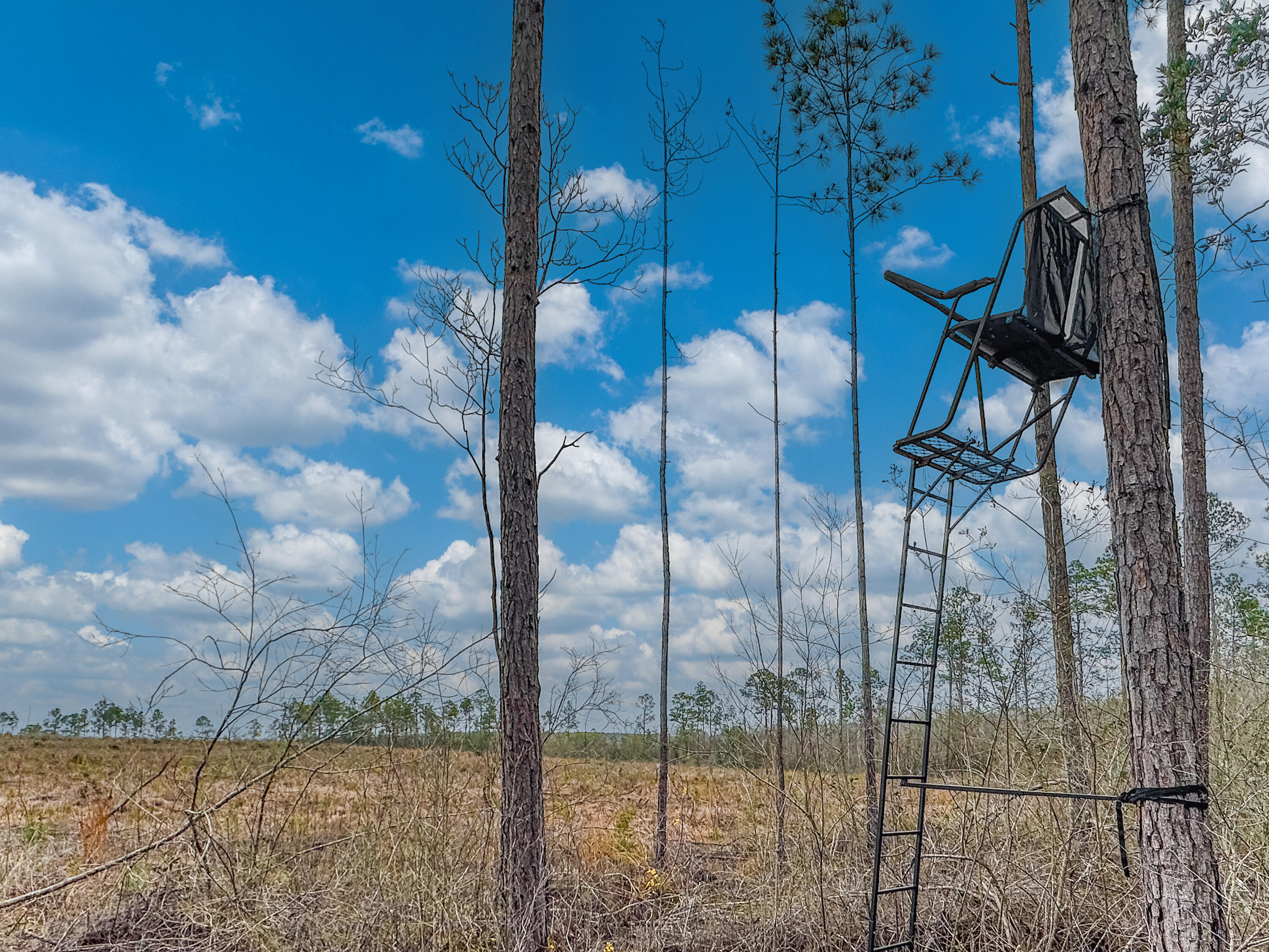 METES & BOUNDS - Farm