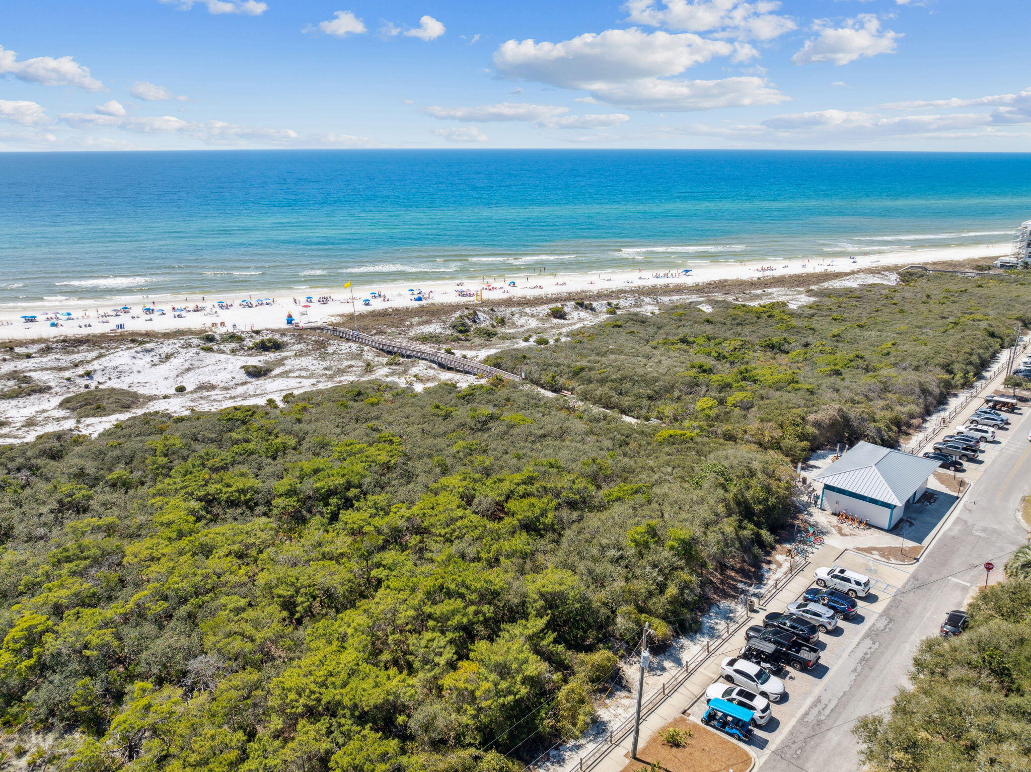 GRANDE POINTE AT INLET BEACH - Residential