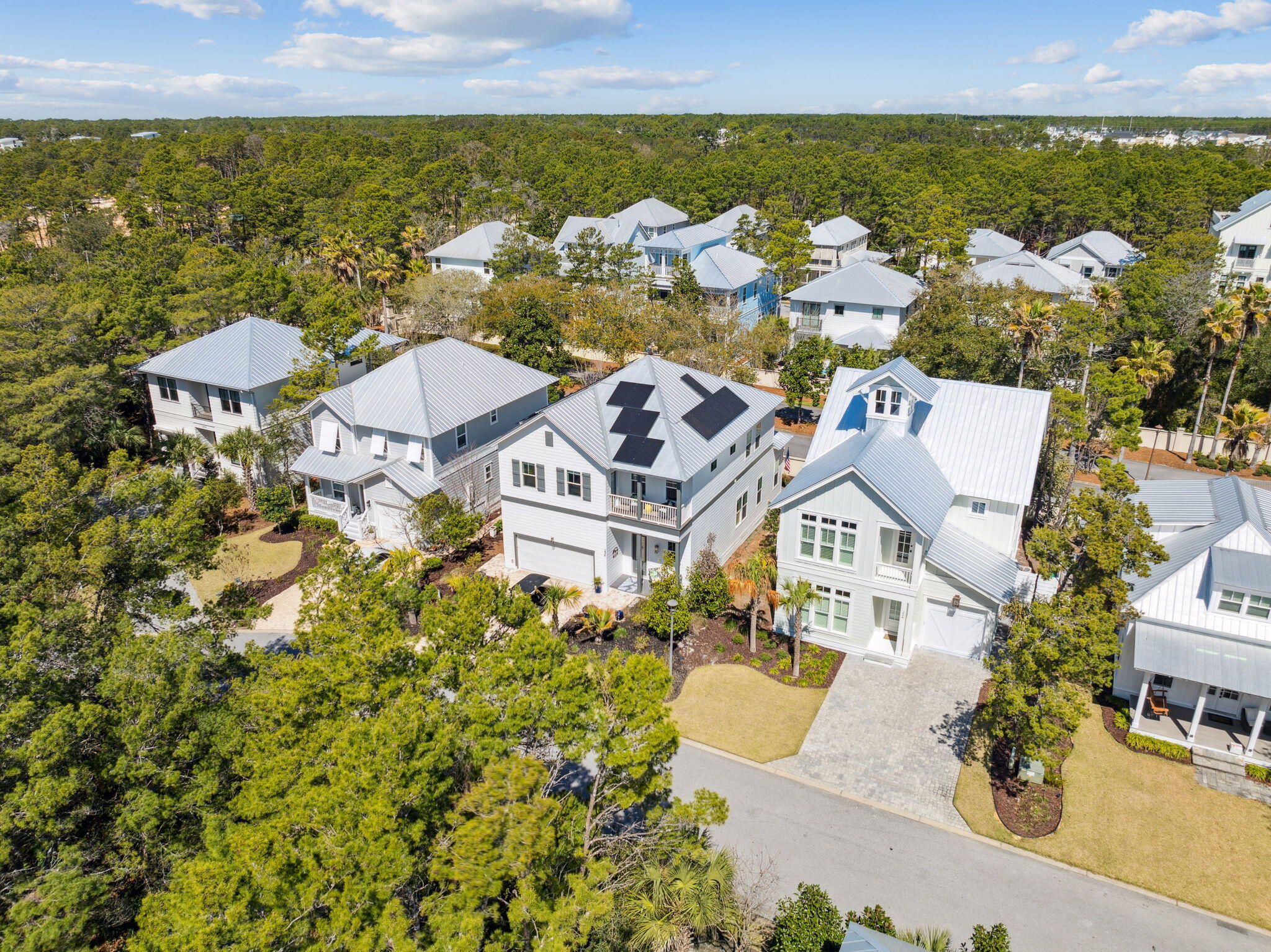 GRANDE POINTE AT INLET BEACH - Residential