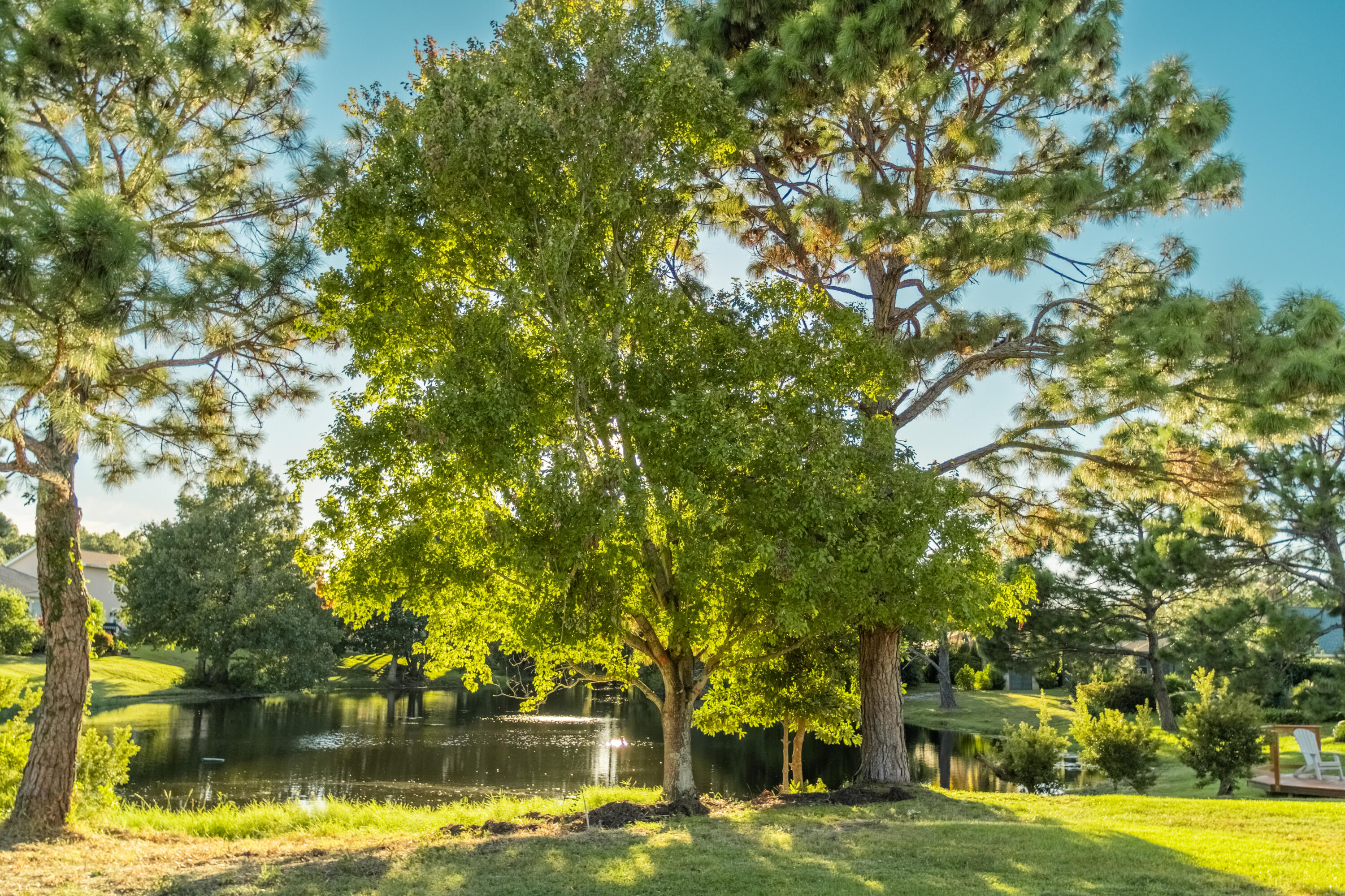 BAYSIDE PH 1 - Residential