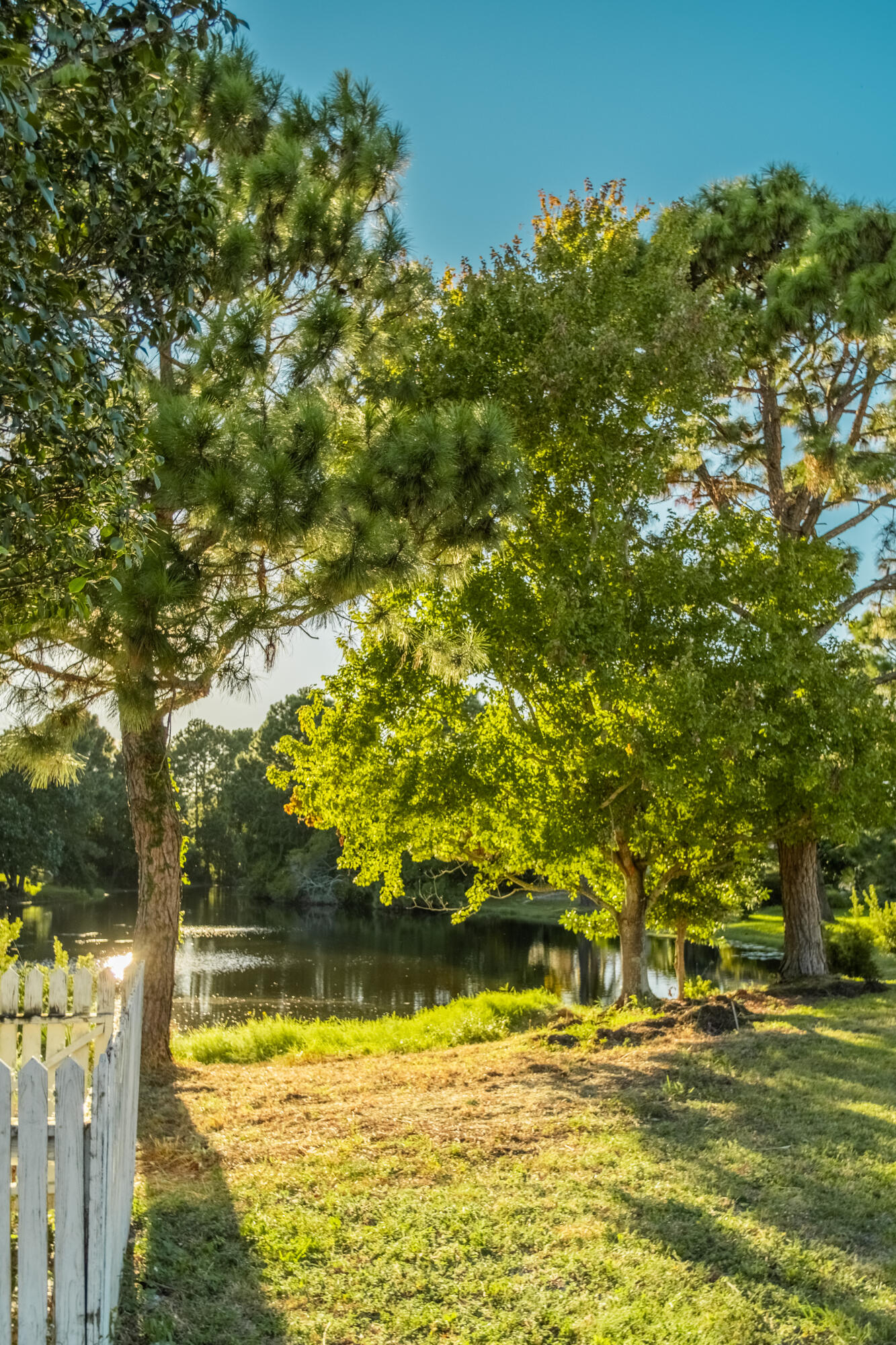 BAYSIDE PH 1 - Residential