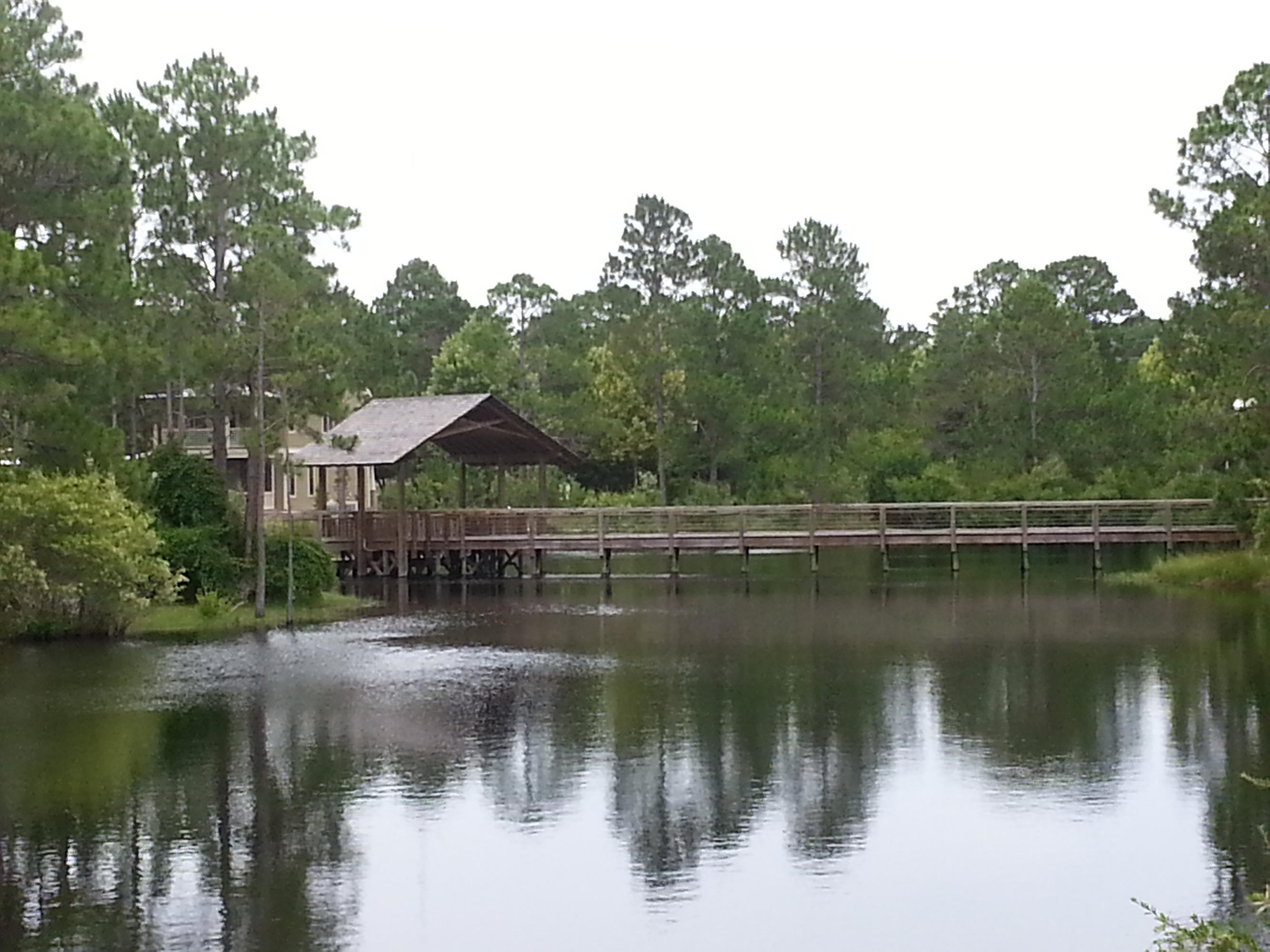 FOREST LAKES - Land