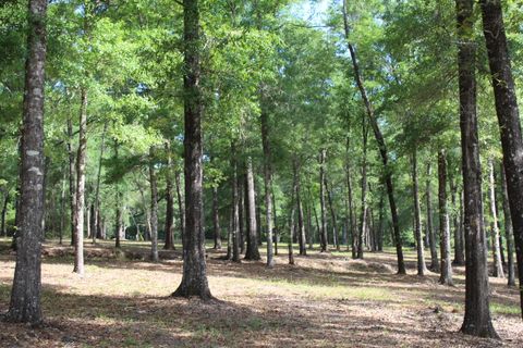 A home in DeFuniak Springs