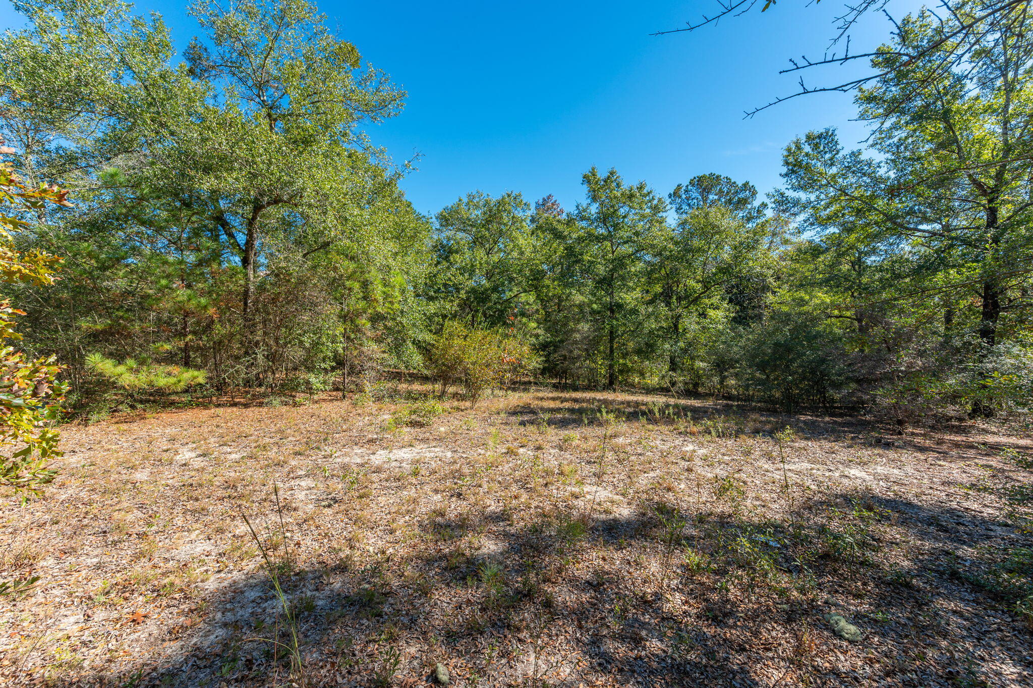 PLEASANT RIDGE ESTATES S/D - Land