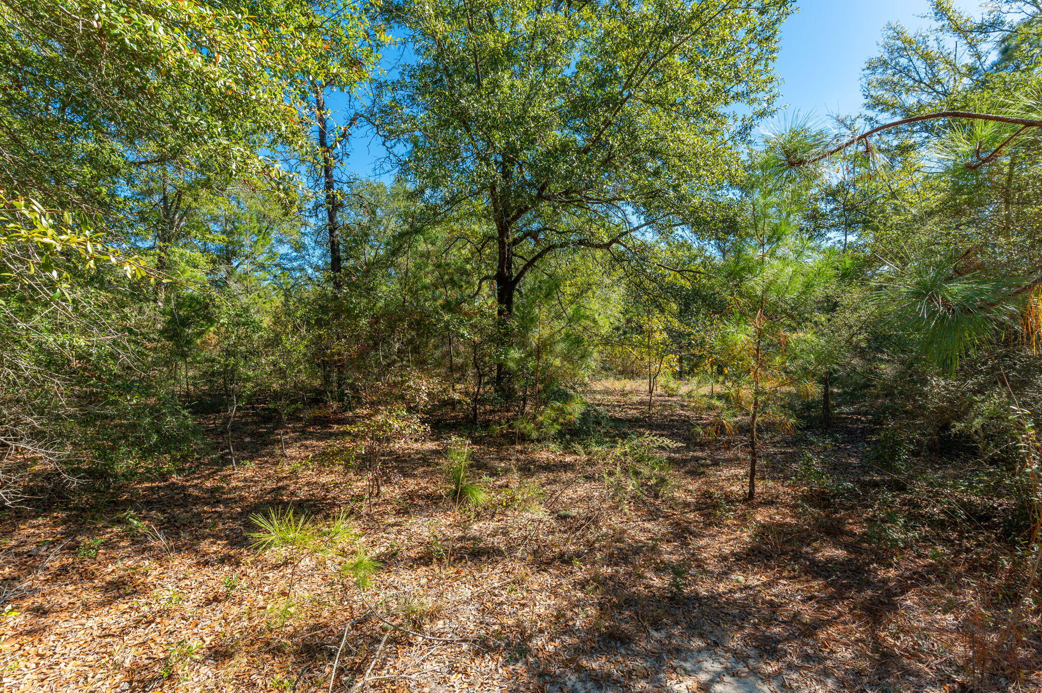 PLEASANT RIDGE ESTATES S/D - Land