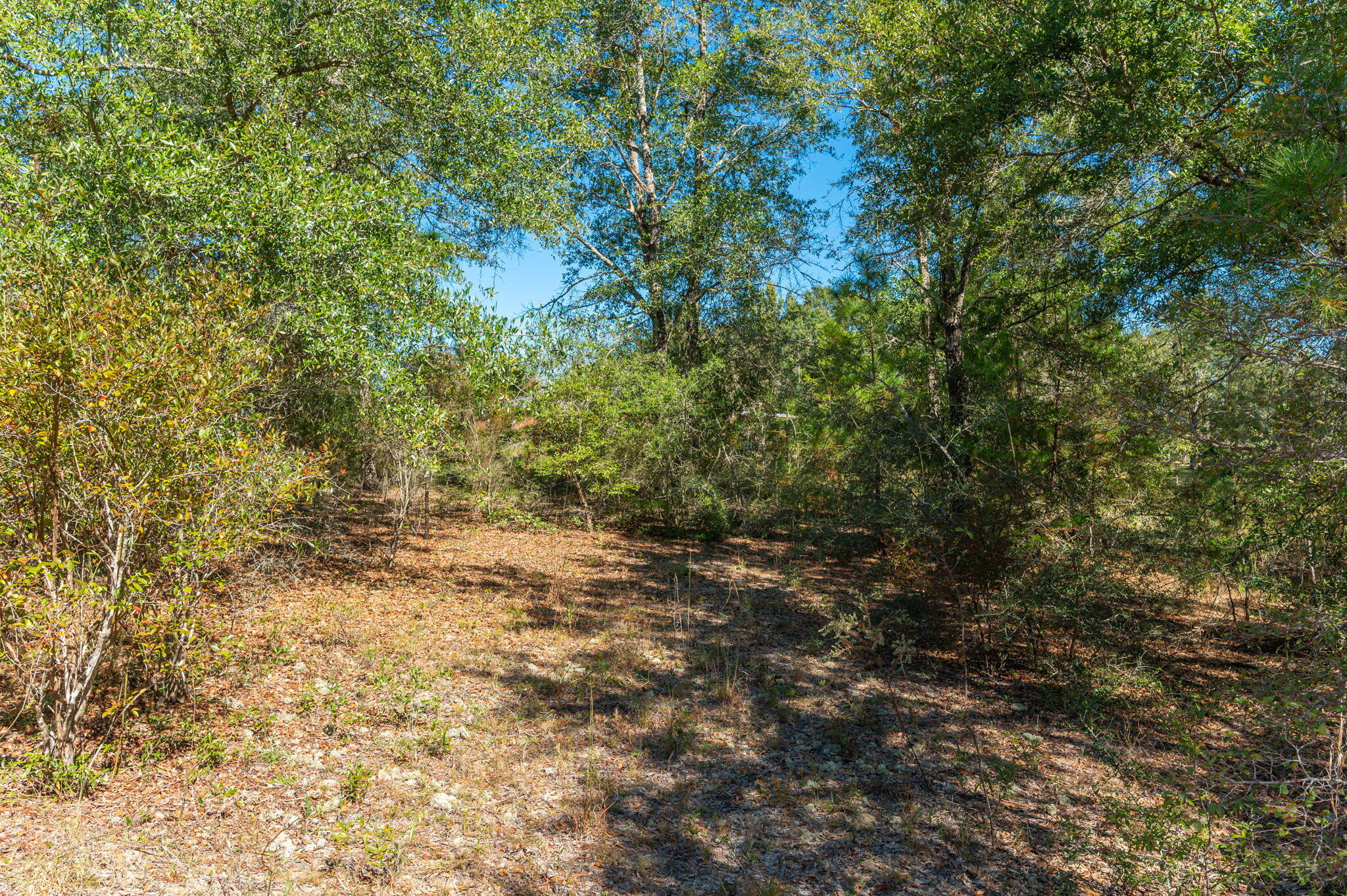 PLEASANT RIDGE ESTATES S/D - Land