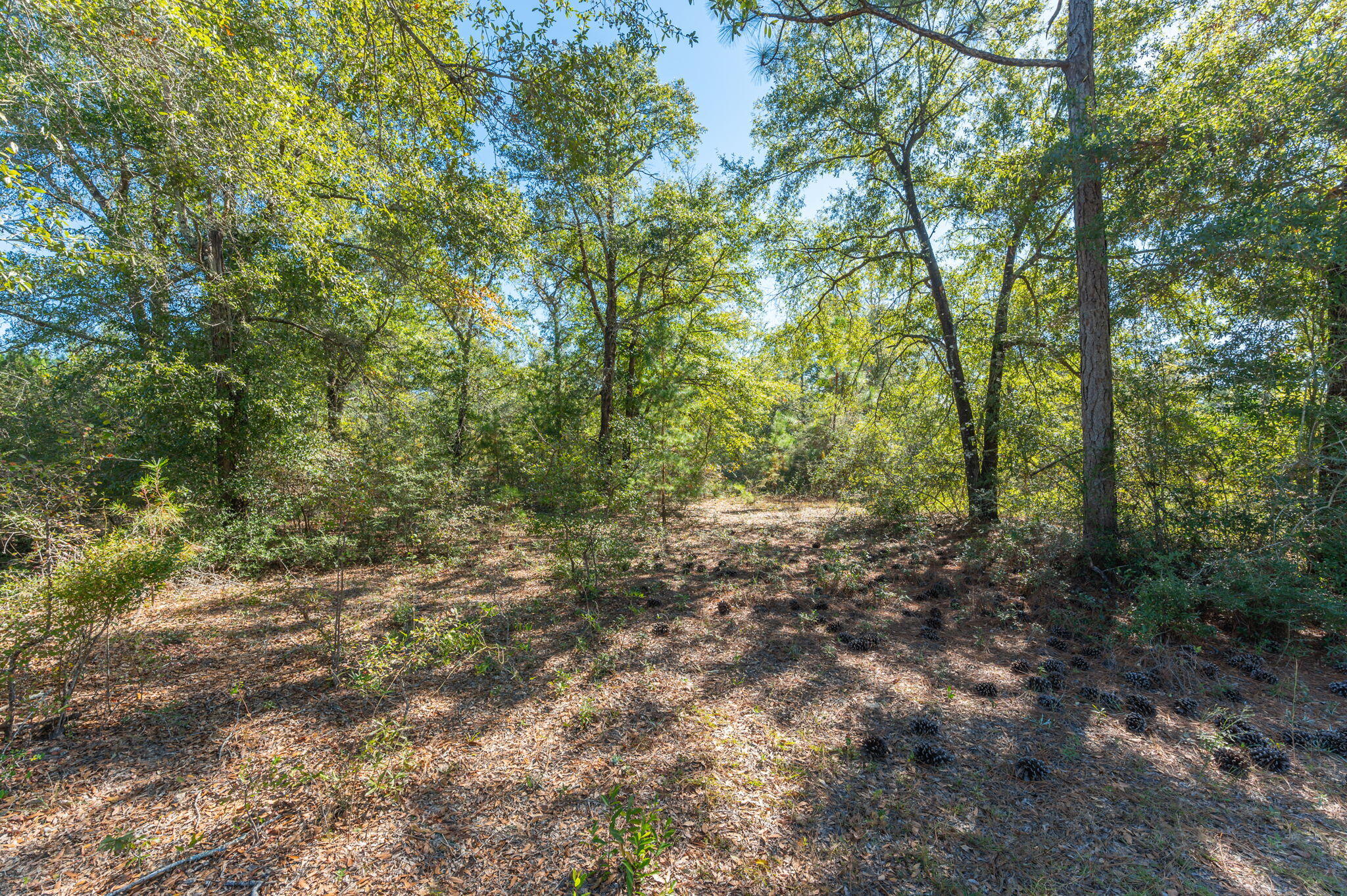 PLEASANT RIDGE ESTATES S/D - Land