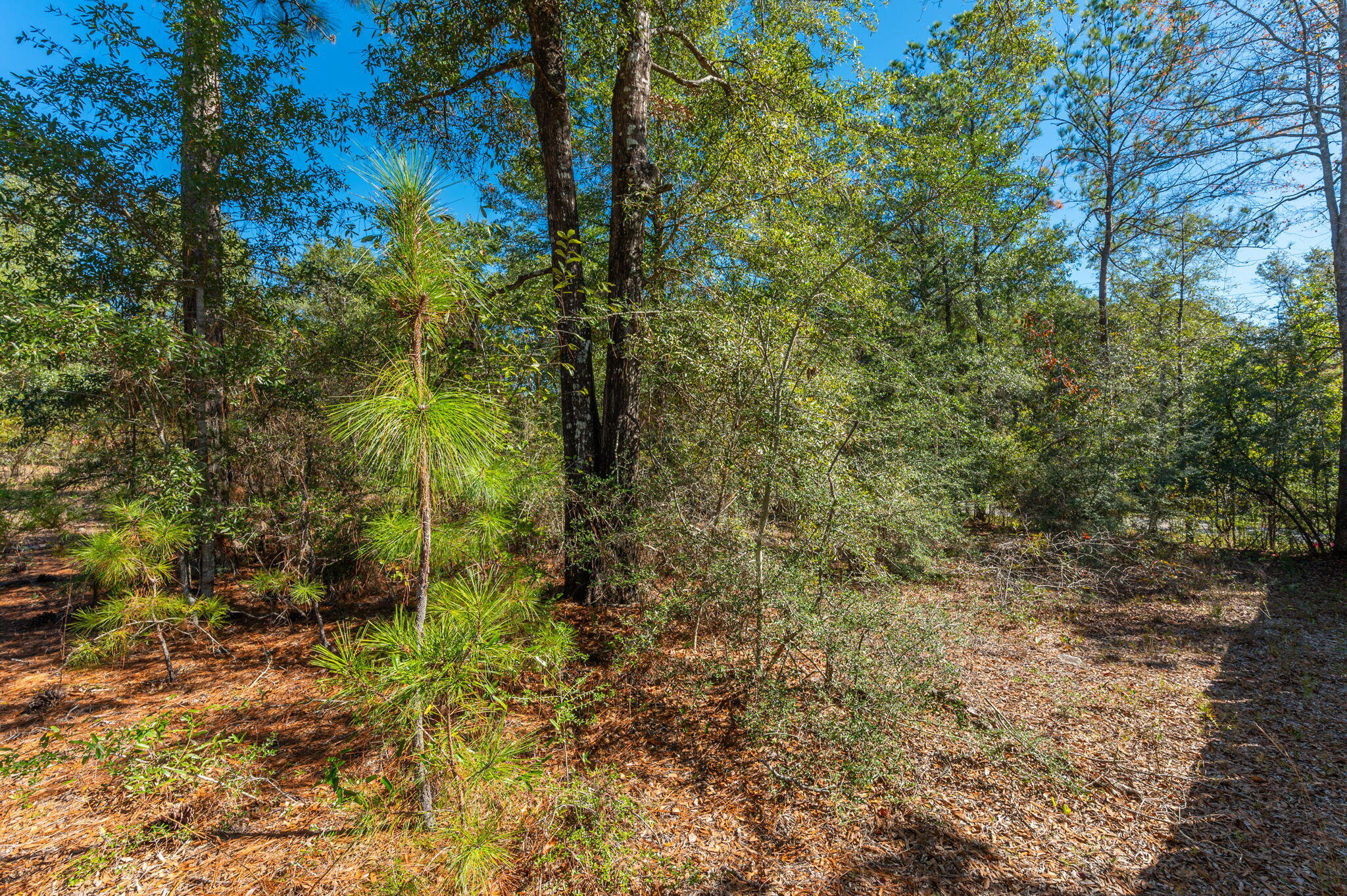 PLEASANT RIDGE ESTATES S/D - Land