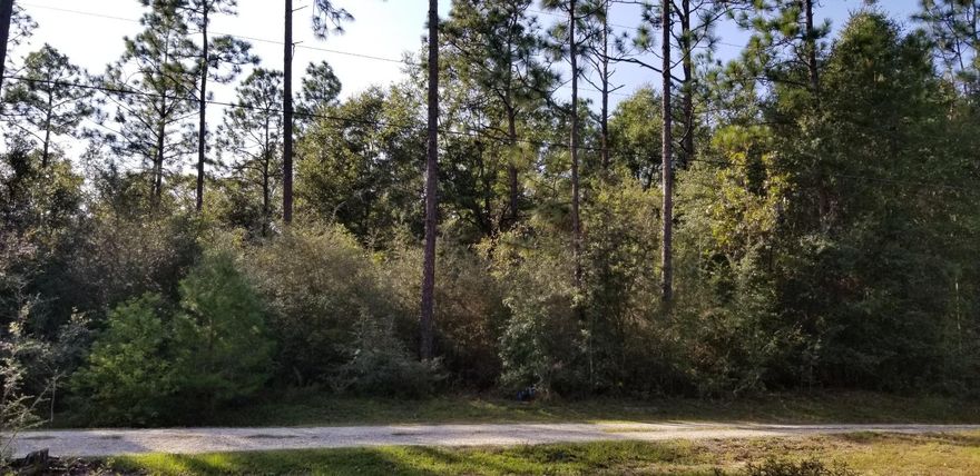 25 of the most desirable development acres from a 58 acre parcel known as MLS 857273. Located at the end of W Dogwood Dr adjoining Holly Hills Subdivision, also viewable looking North across the big lake at Nature Lake Subdivision, both S/D's are off Lake Silver Road. The land is primarily level, beautifully wooded, the proposed west line will come well short of a creek bed that runs through the larger parcel. A legal right of way to be negotiated will need to be provided to access the unsold remaining 33 acres across & thru the creek bed. Owner might consider option or owner financing to a developer on the 2nd parcel thru infrastructure and early sales phase of development. There is a portion that will provide a nice view of Nature Lake.  (a 22x24 stg bldg/garage on slab is included)