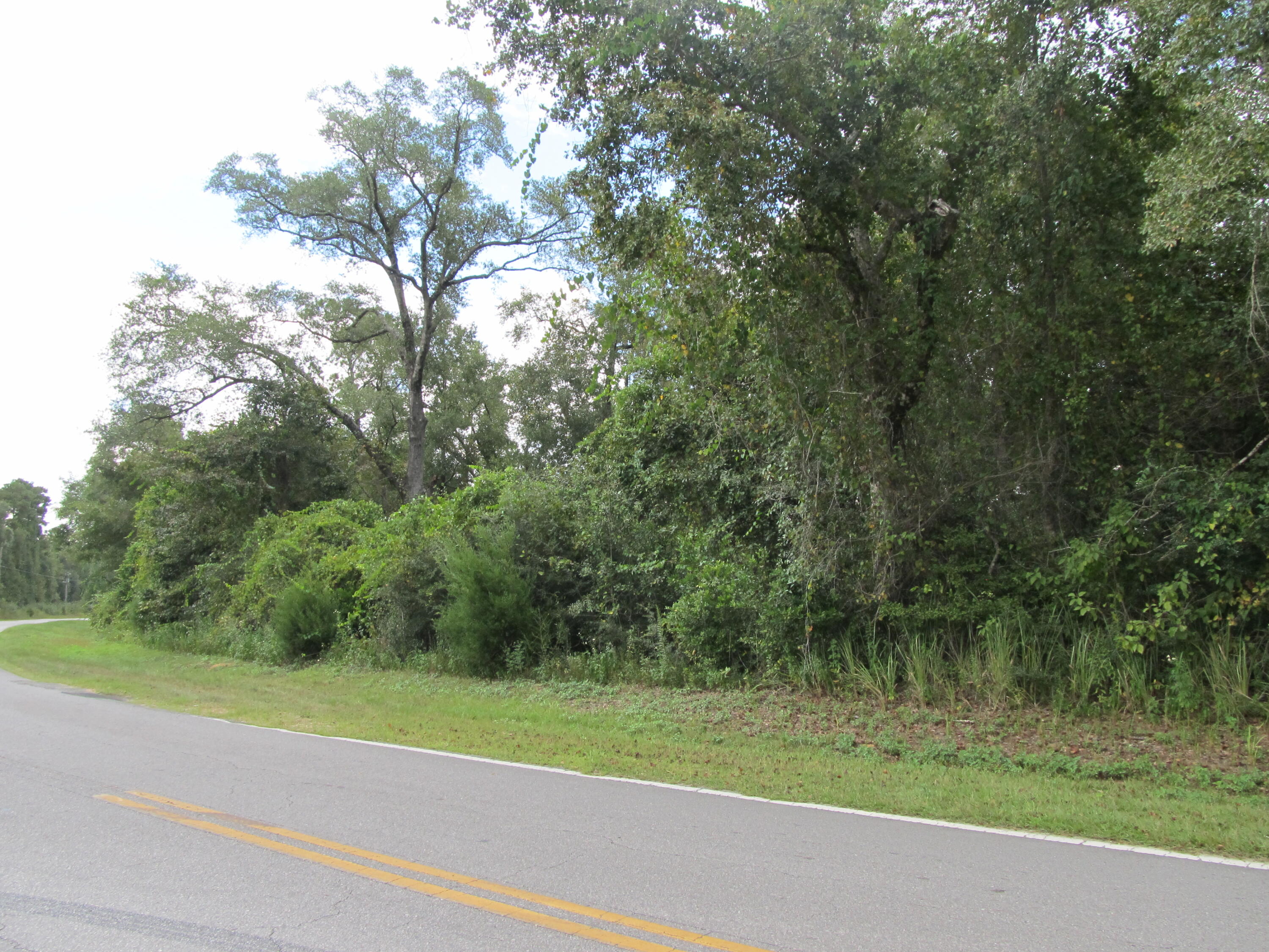 Great vacant lot with approximately 300' of paved road frontage. This parcel is the perfect location to build your forever dream home. Survey is available. Community water in area but tap fee is due and will require septic. Power available at road. Take the time to check this one out today.