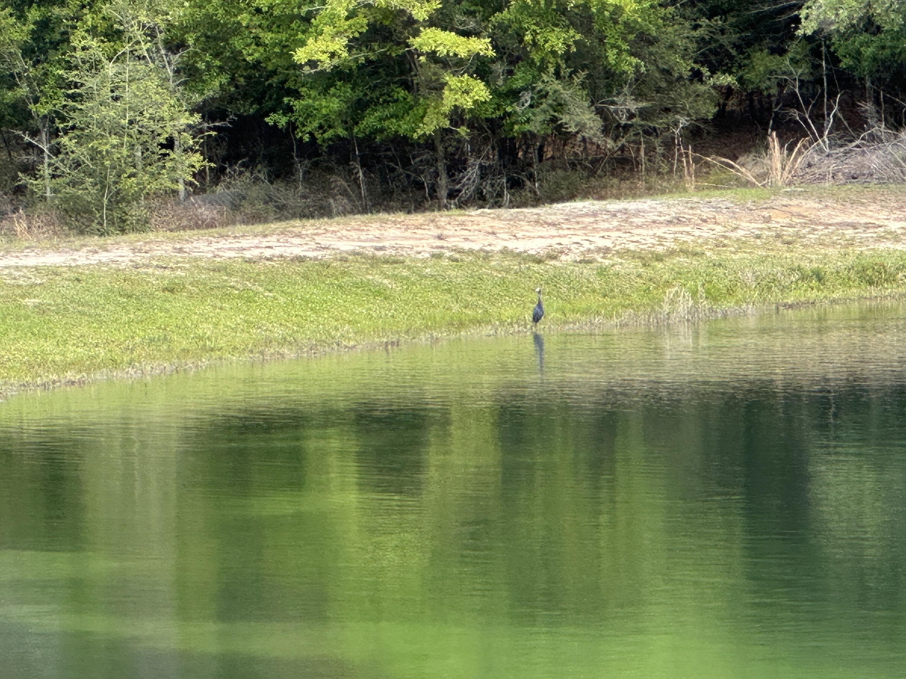 INDIAN TRAILS PH 3 - Residential