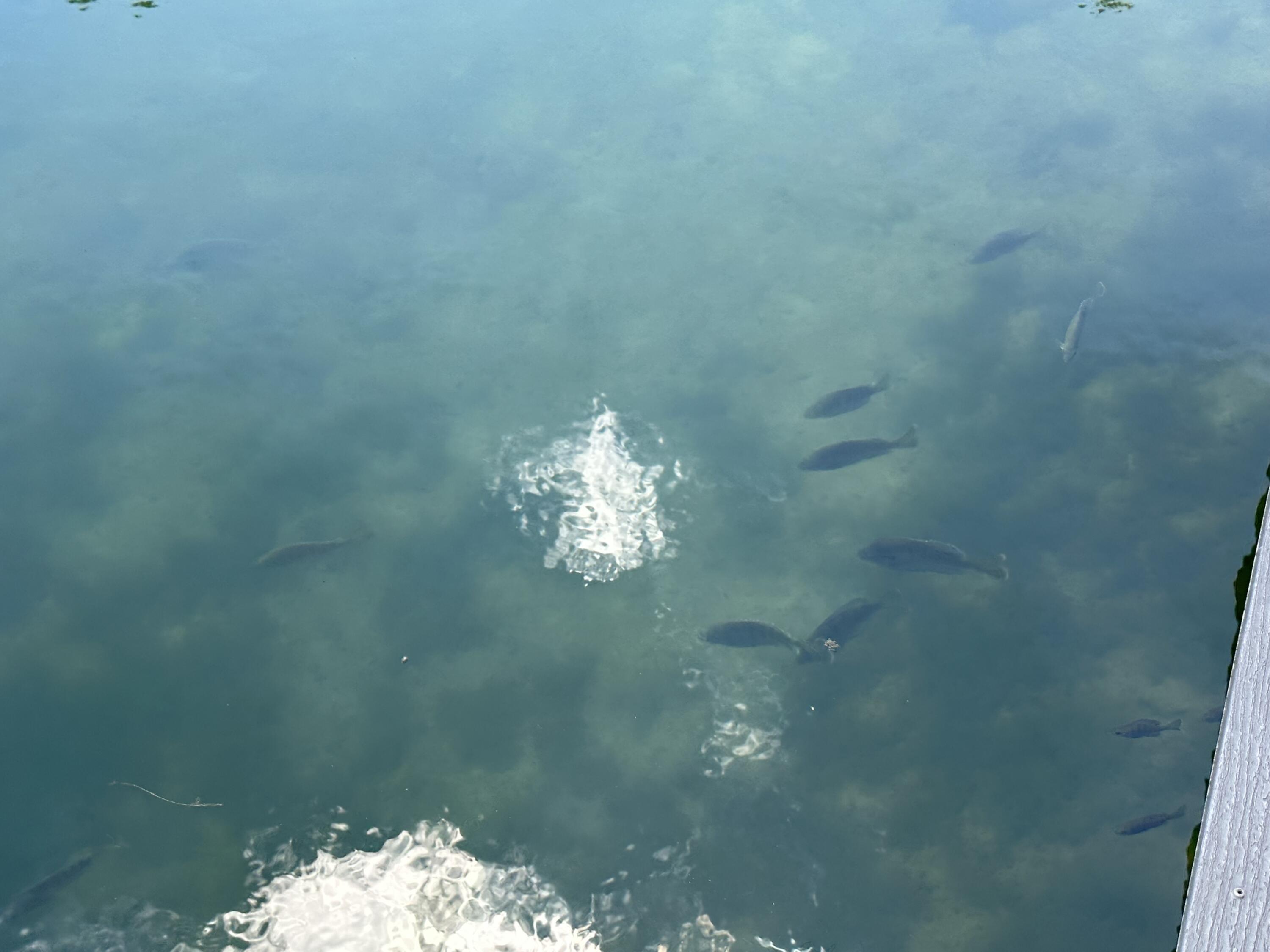 INDIAN TRAILS PH 3 - Residential