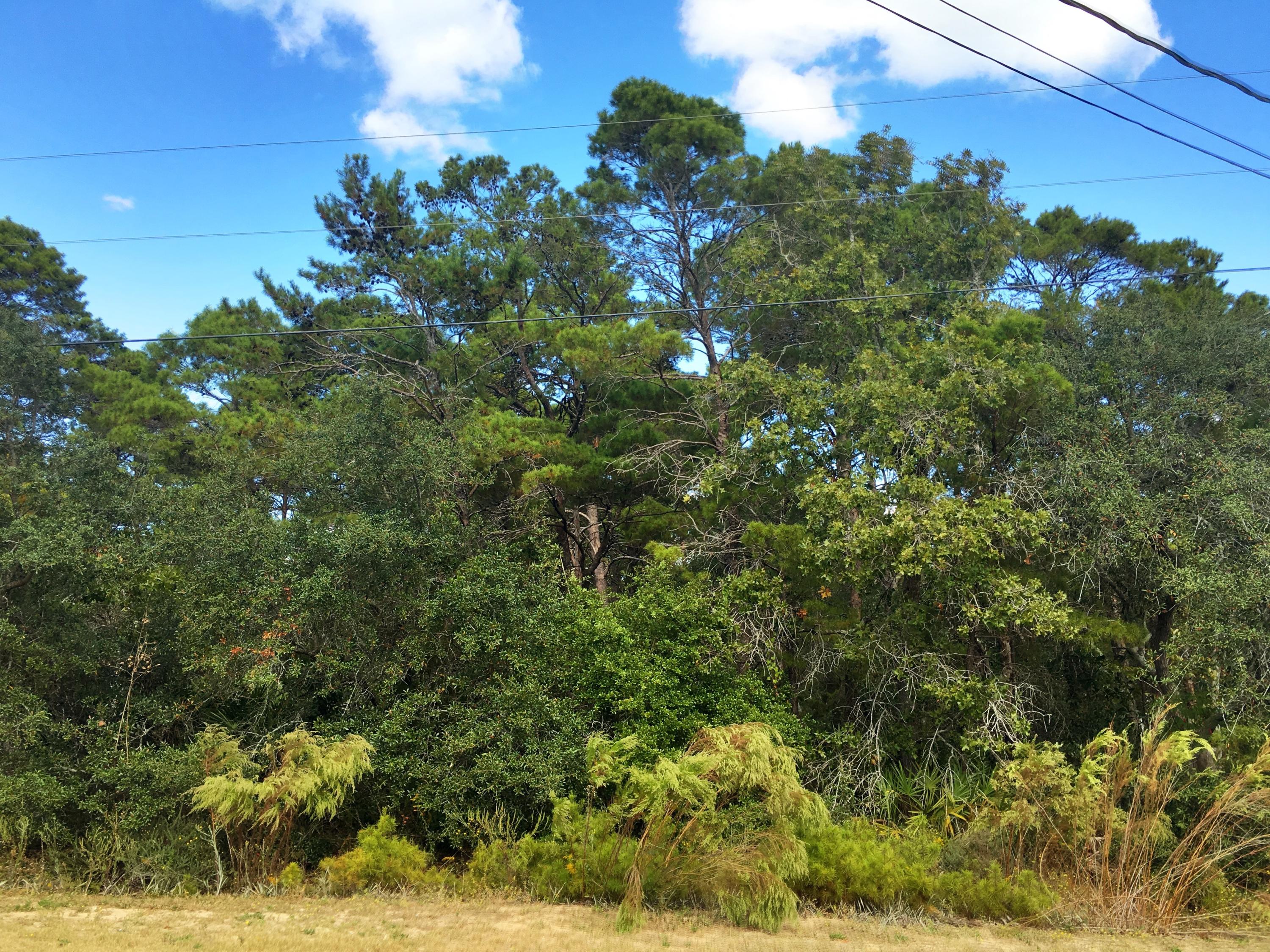 Walk to the beach from this beautiful, wooded lot, just north of Hwy 30A in the quiet beach neighborhood of Gulfview Heights.. Located between Gulf Place & Blue Mountain Beach, Gulfview Heights is the perfect location to call home. Public beach access, complete with parking, restrooms, picnic tables & grill is less then 1/2 mile away. No HOA. No Build Out Times. Come on by & check it out!