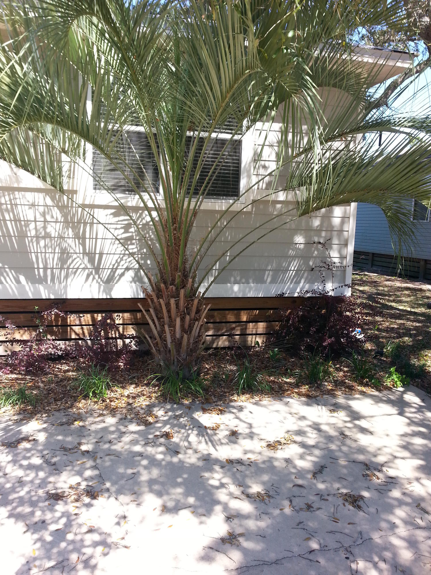 VILLA TASSO TOWN OF - Residential