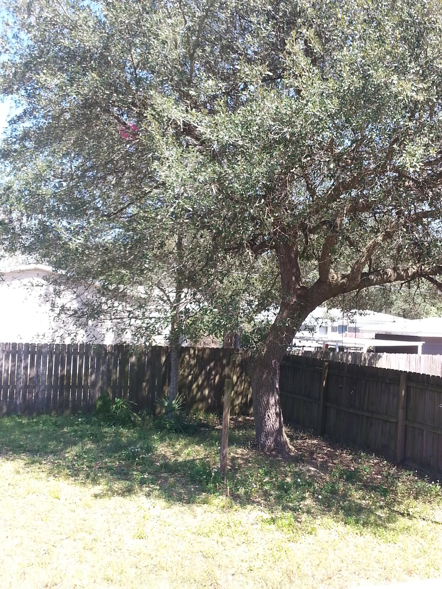 VILLA TASSO TOWN OF - Residential