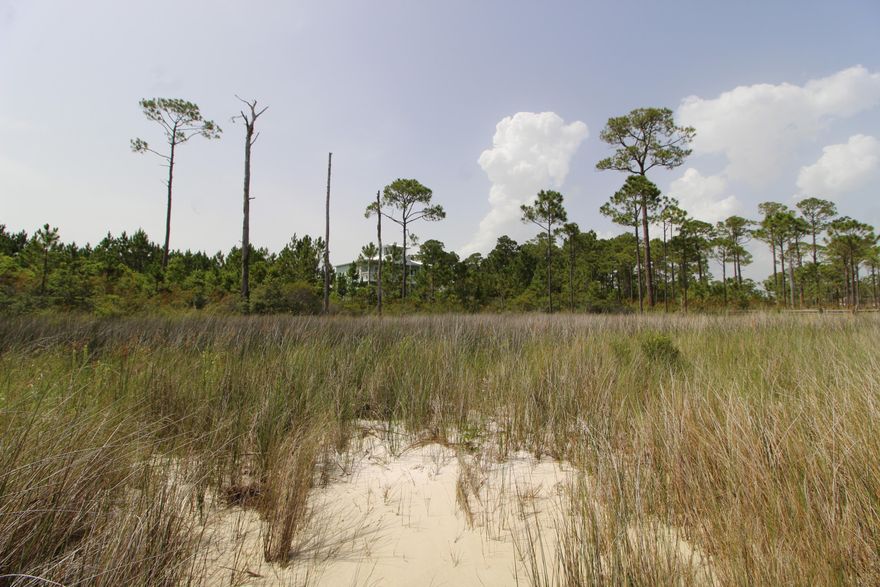 Enjoy all that coastal living has to offer - build your dream home on this beautiful lot in the desirable Sparkling Waters neighborhood. Over 100 feet of waterfrontage on the quiet and peaceful end of the Santa Rosa Sound. Enjoy beautiful sunsets and abundant wildlife. Deep water access will allow for larger boats. Minutes to Hurlburt Field and close to shopping and dining. Call today!