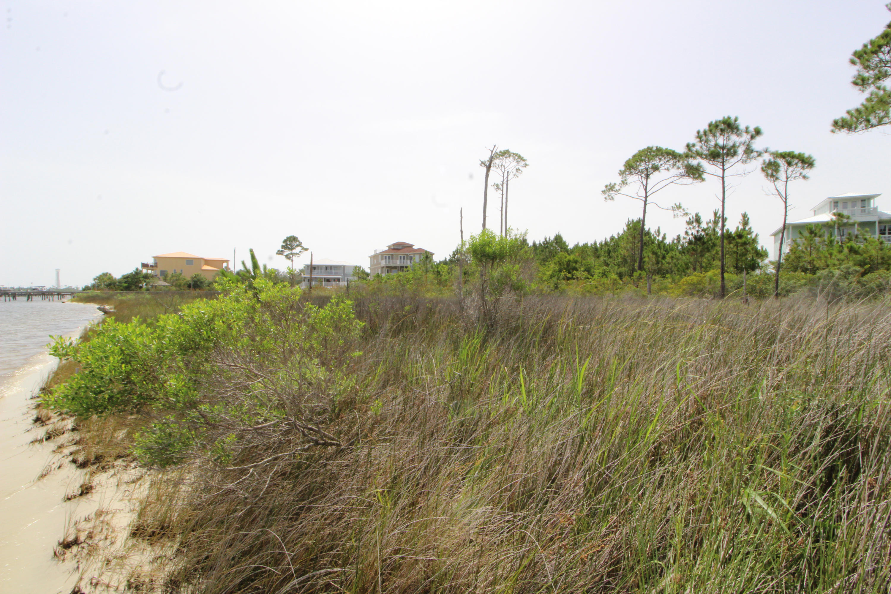 SPARKLING WATERS - Land