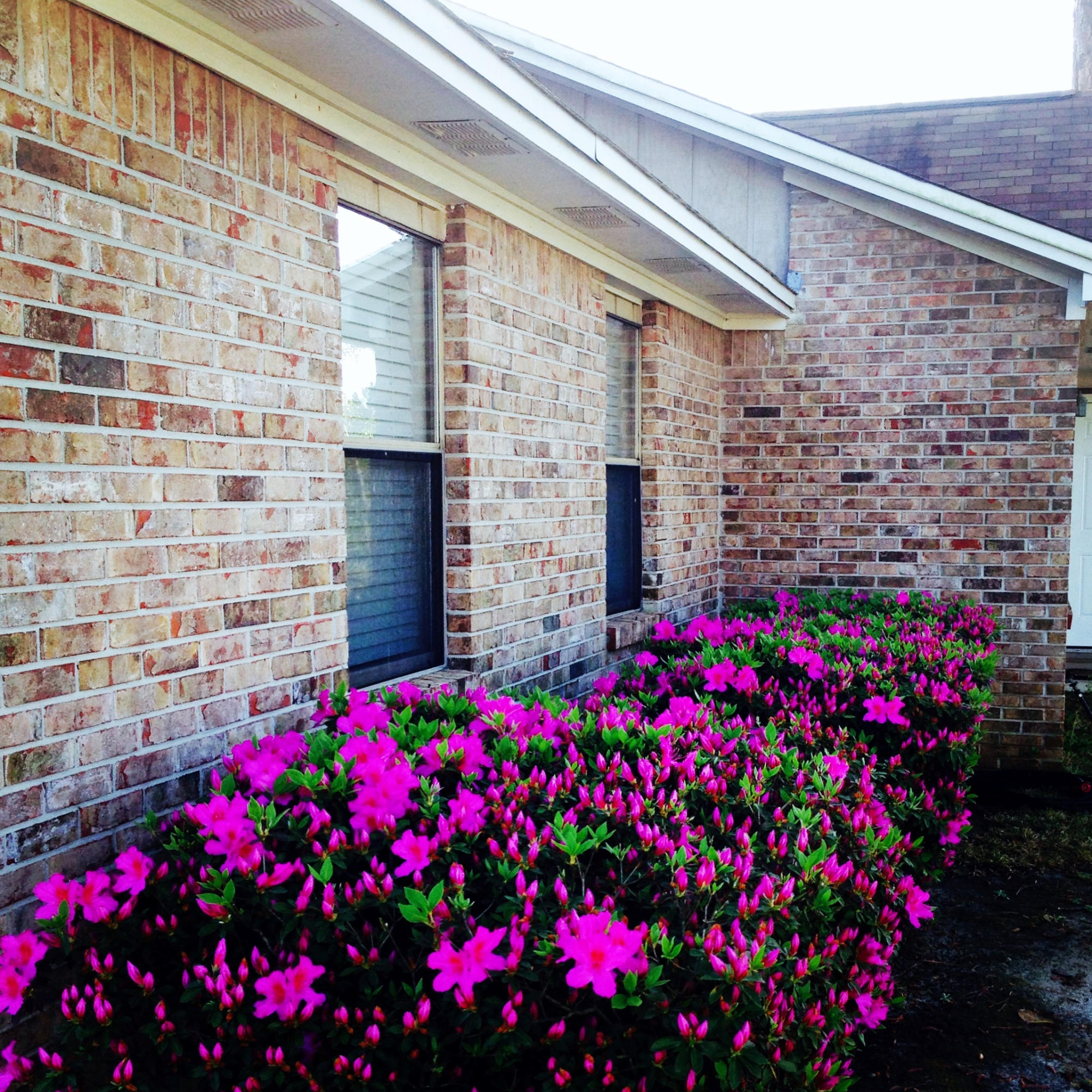 CIMARRON ESTATES - Residential