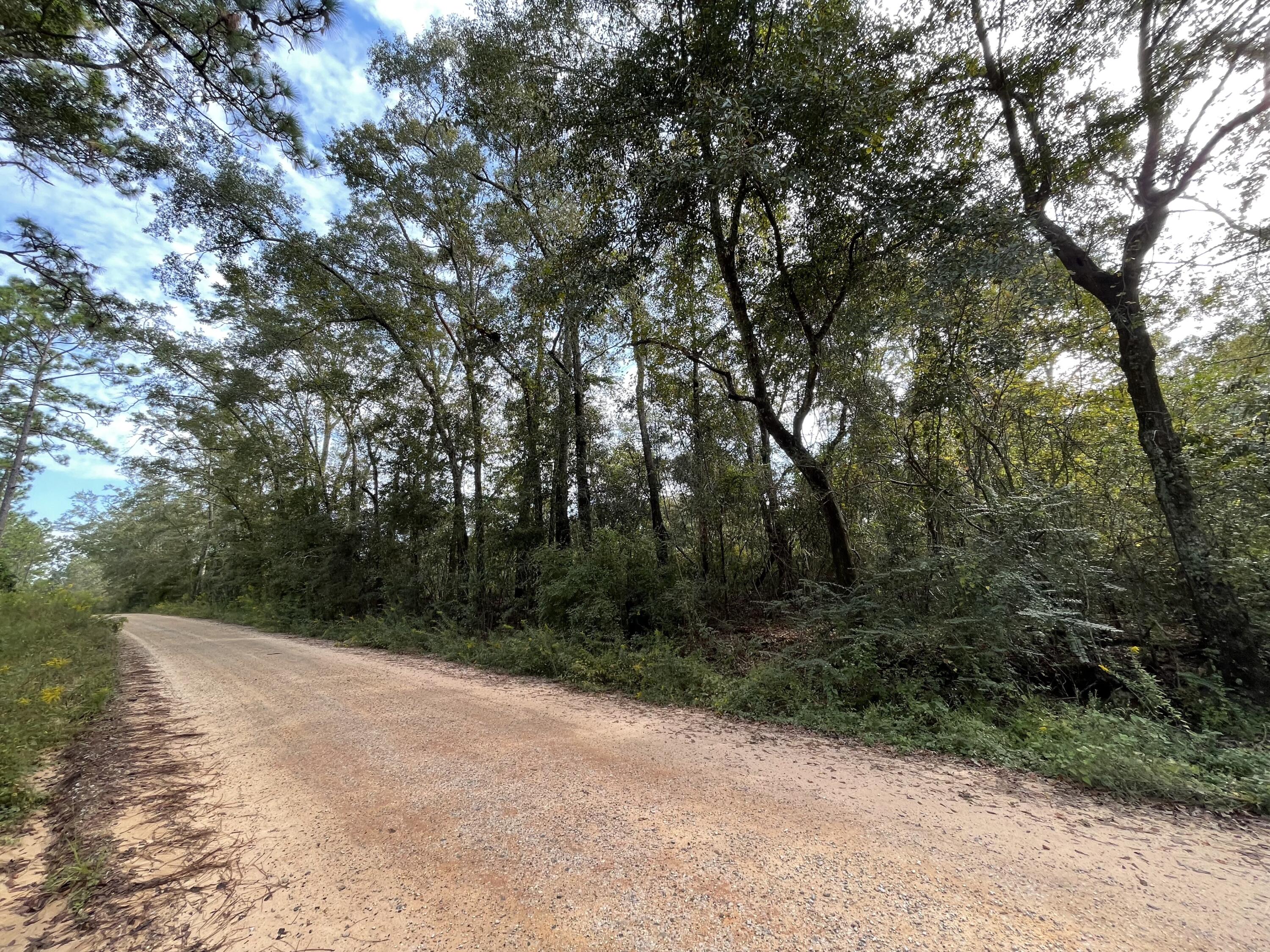 METES & BOUNDS - Land