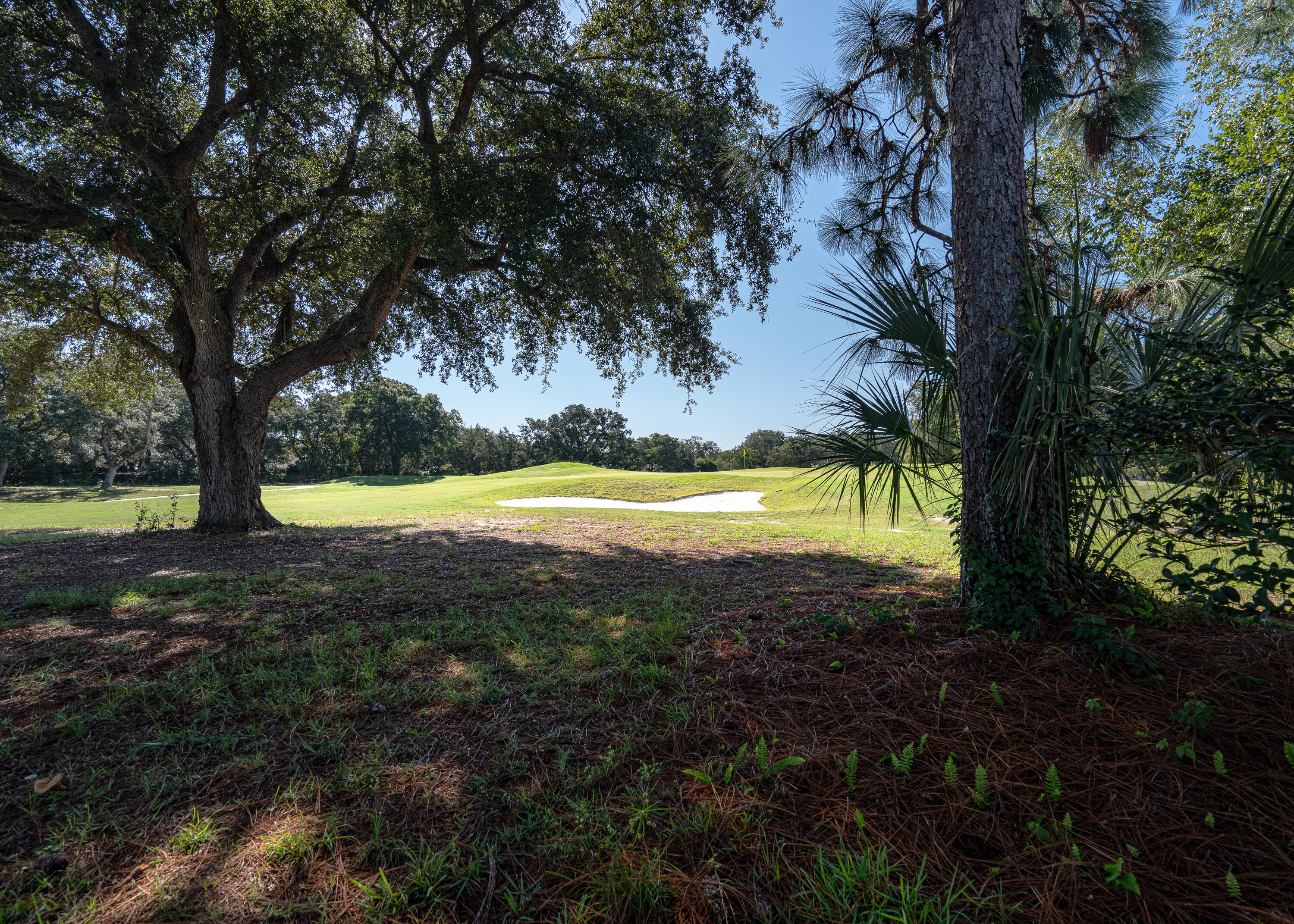 Shalimar Pointe Ph 1 Lot 29 - Residential