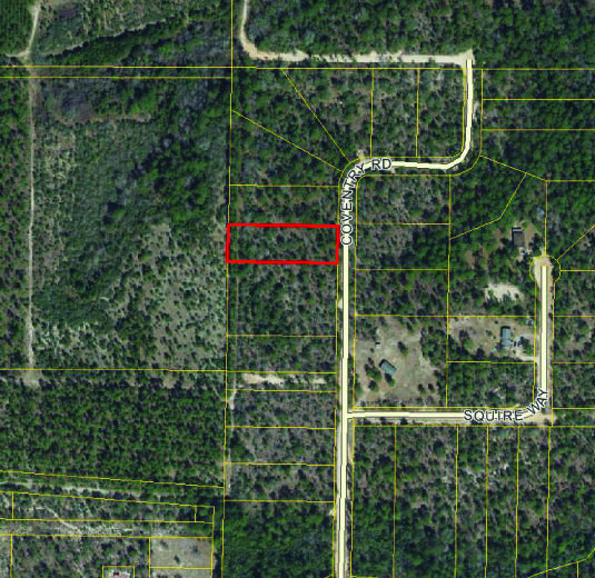 Secluded, wooded buildable lot near the Mossy Head I-10 interchange.