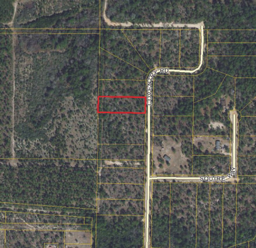 Secluded, wooded buildable lot near the Mossy Head I-10 interchange.