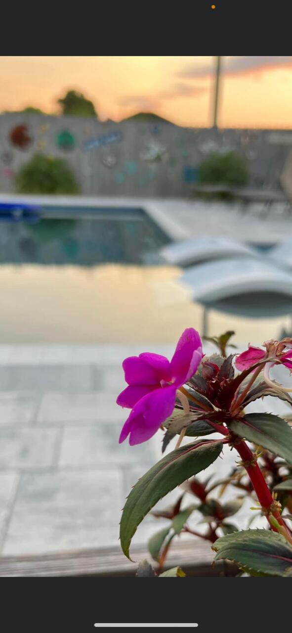 NORTH LAGOON OAKS - Residential