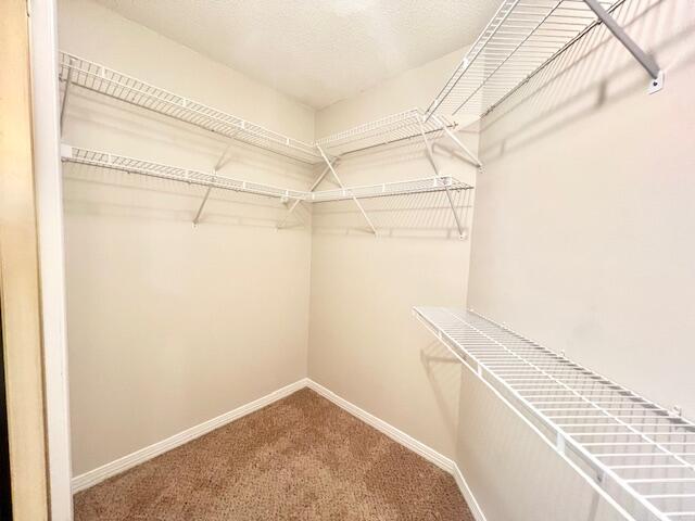 BLUE PINE VILLAGE PH 1 - Residential Lease